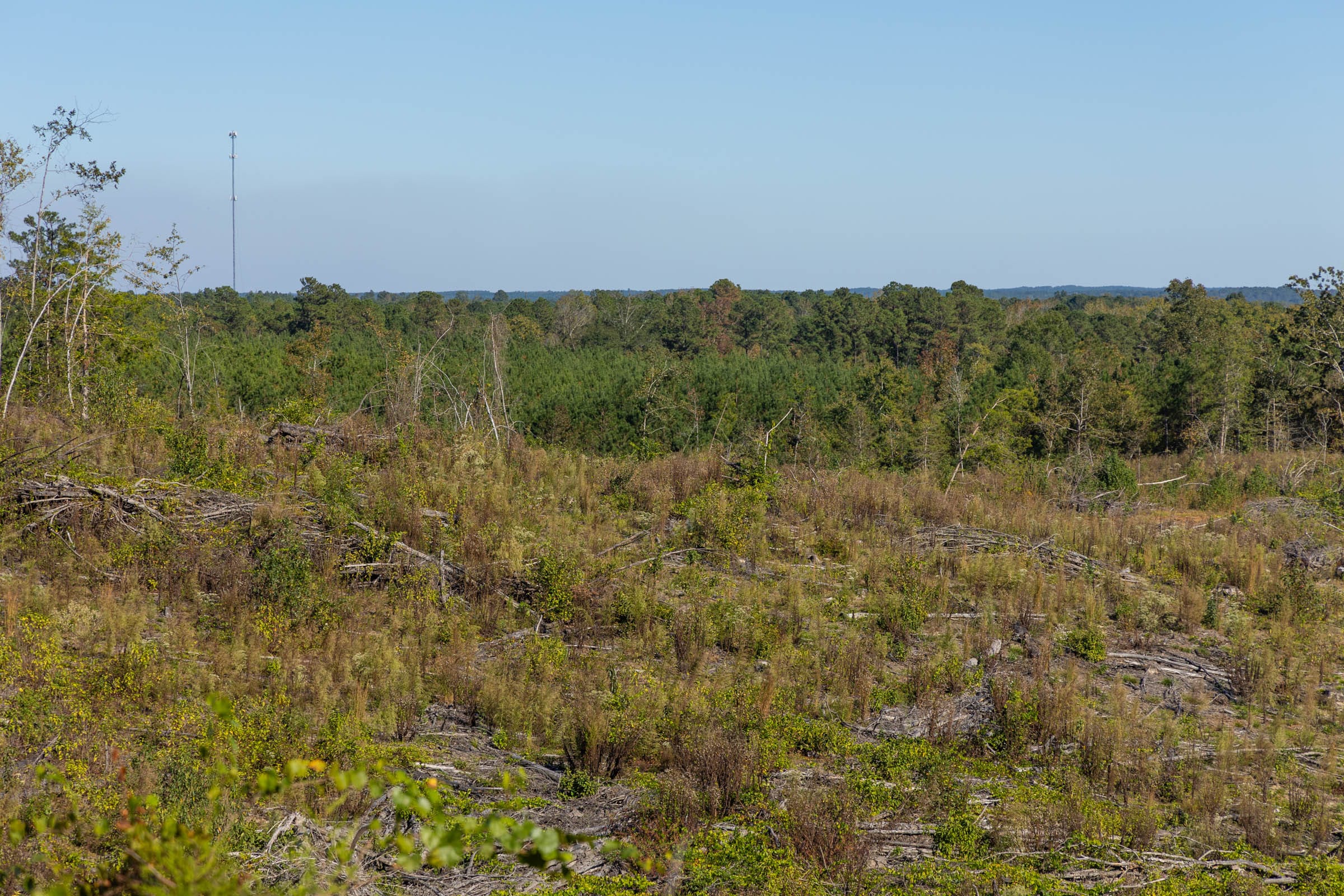 Meyer’s Ridge Tract 40 photo 13