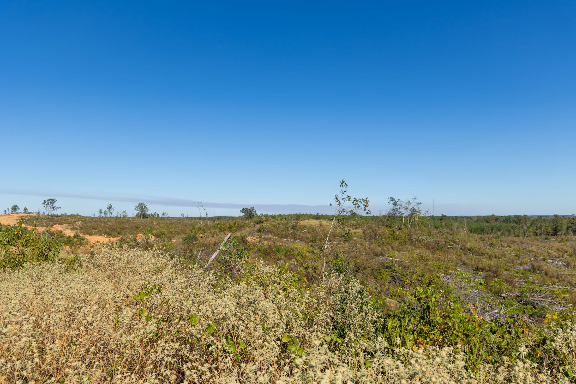 Meyer’s Ridge Tract 40 photo 12