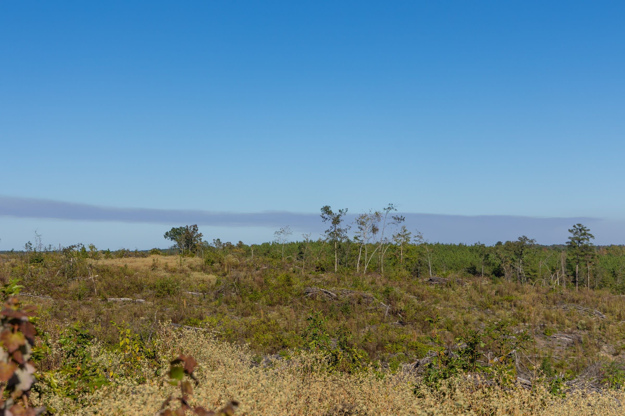 Meyer’s Ridge Tract 40 photo 11