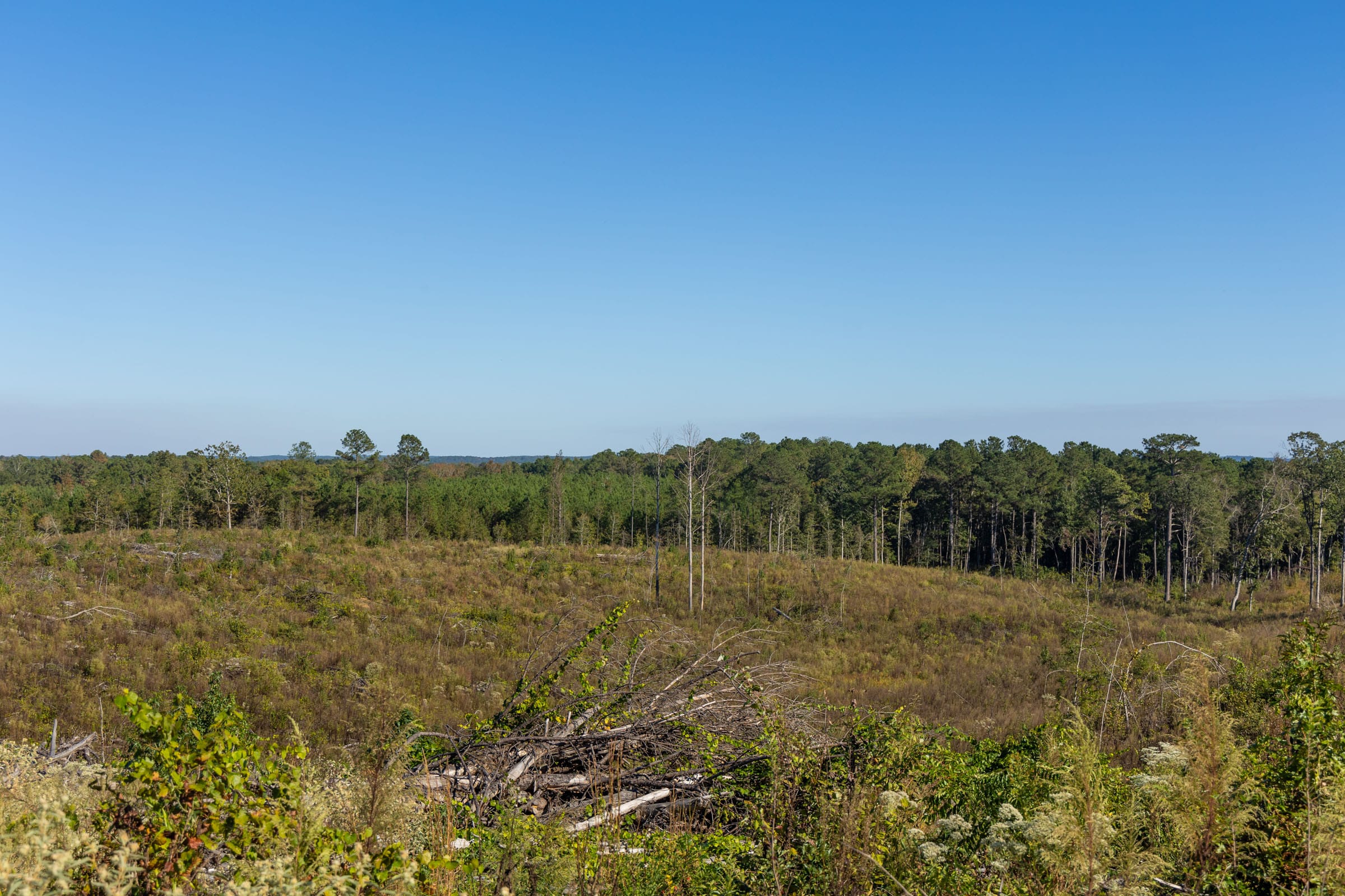 Meyer’s Ridge Tract 40 photo 10