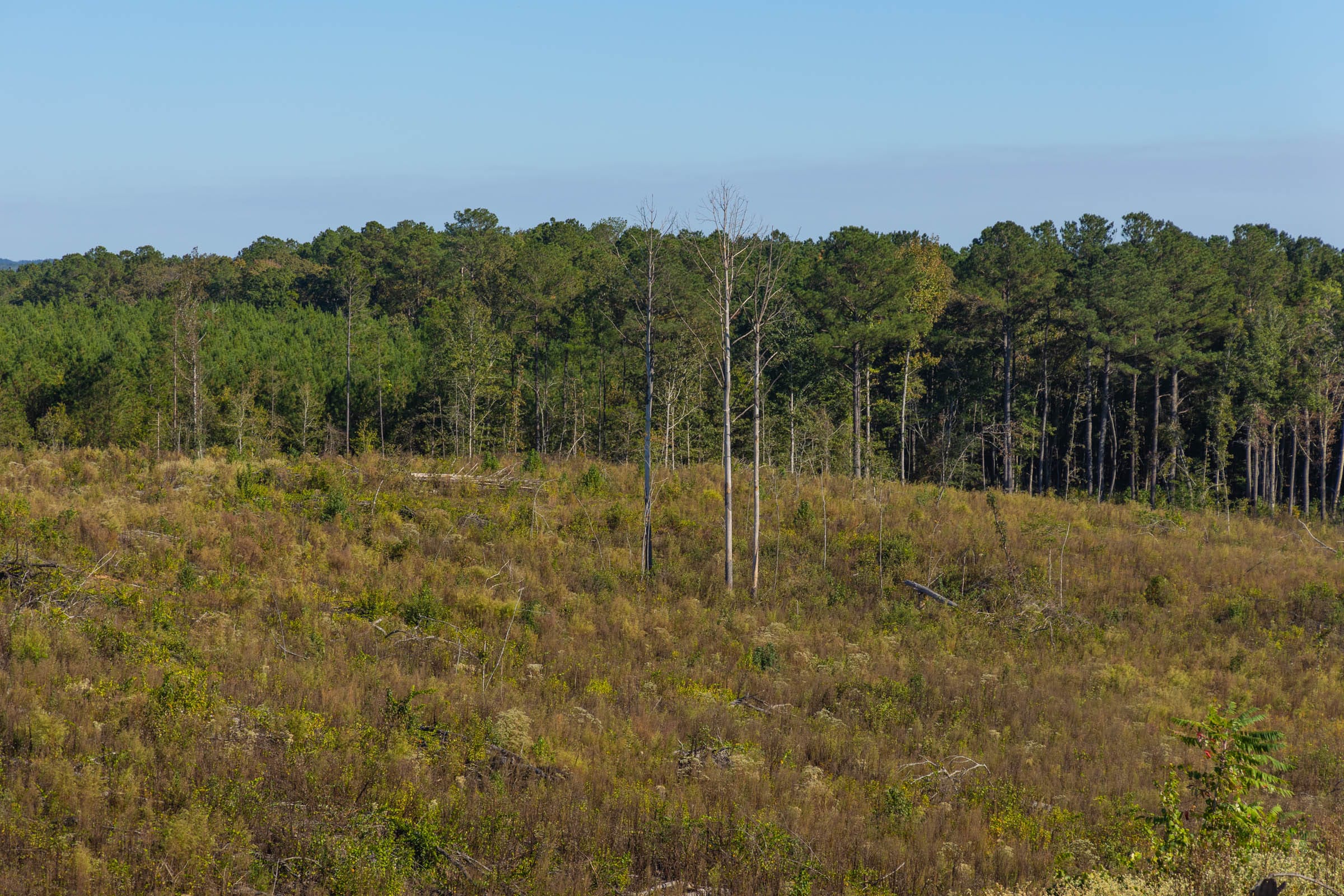 Meyer’s Ridge Tract 40 photo 8