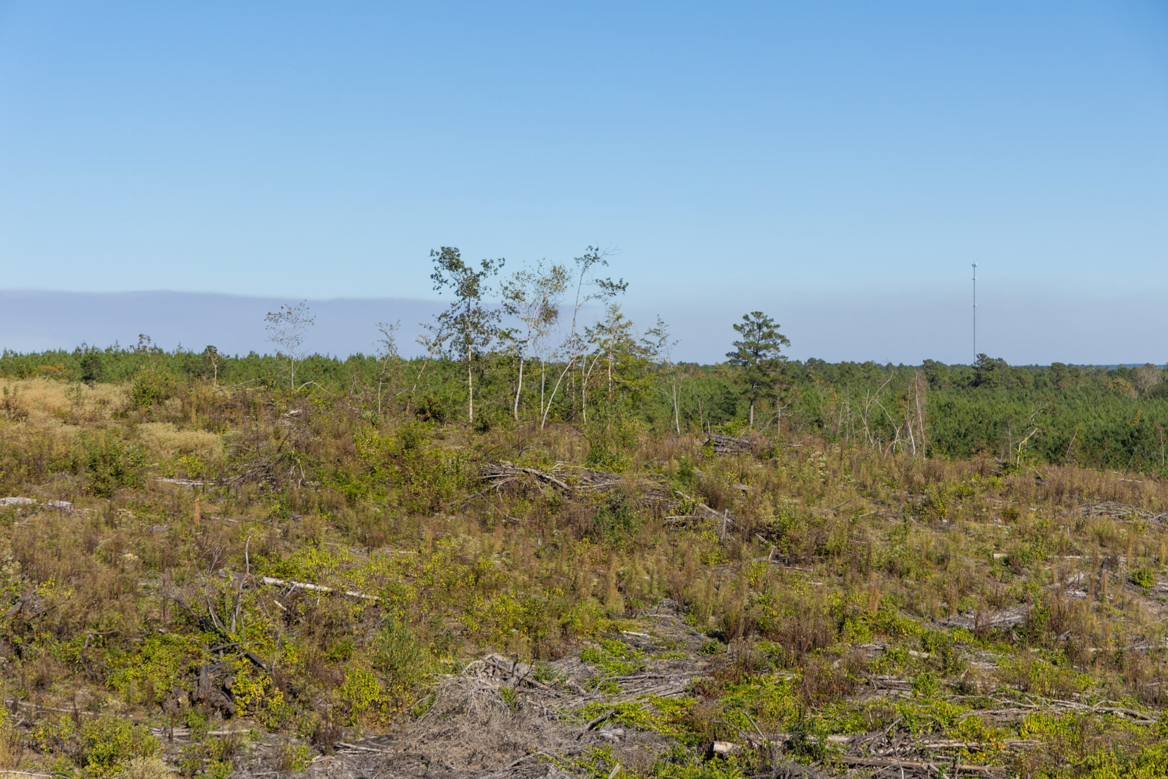 Meyer’s Ridge Tract 40 photo 6