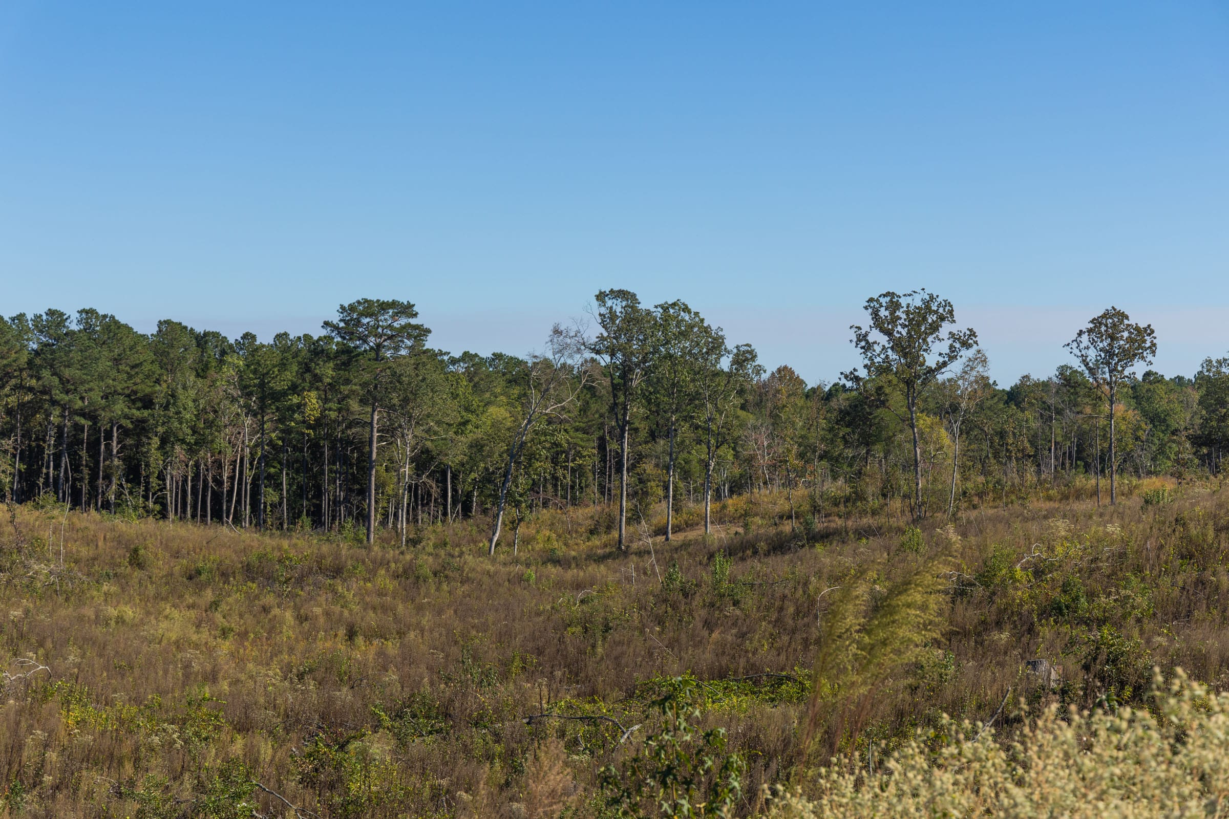 Meyer’s Ridge Tract 40 photo 4