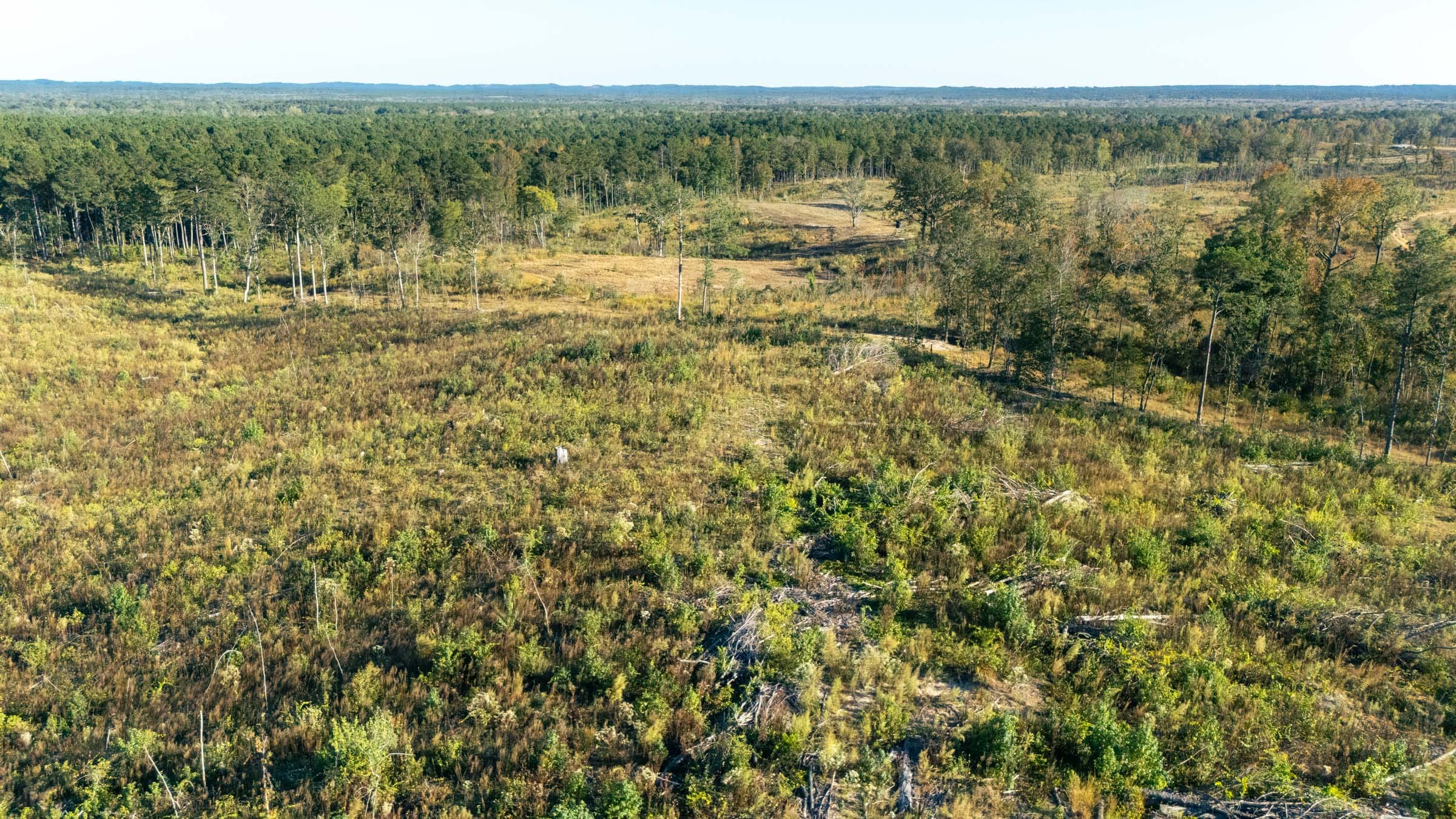 Meyer’s Ridge Tract 40 photo 7