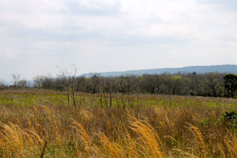 Daisy Meadows Tract 17 photo 2