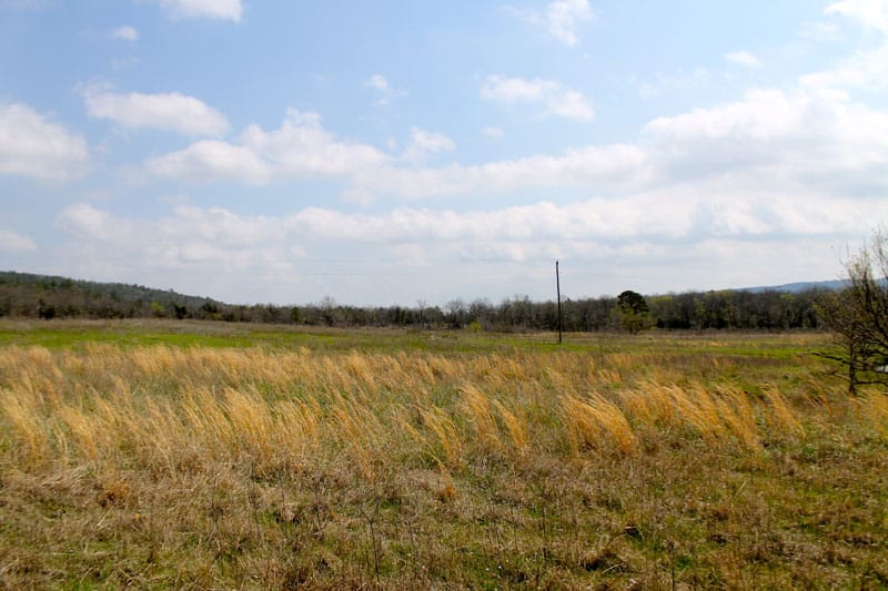 Daisy Meadows Tract 17 photo 3