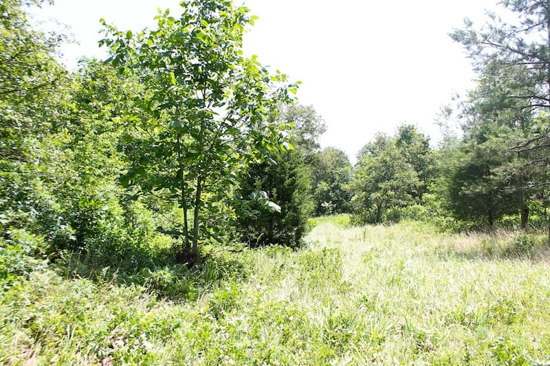 Green Mountain Ranch Tract 24 photo 4