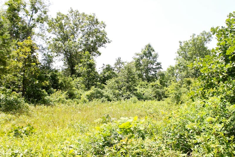 Green Mountain Ranch Tract 24 photo 7