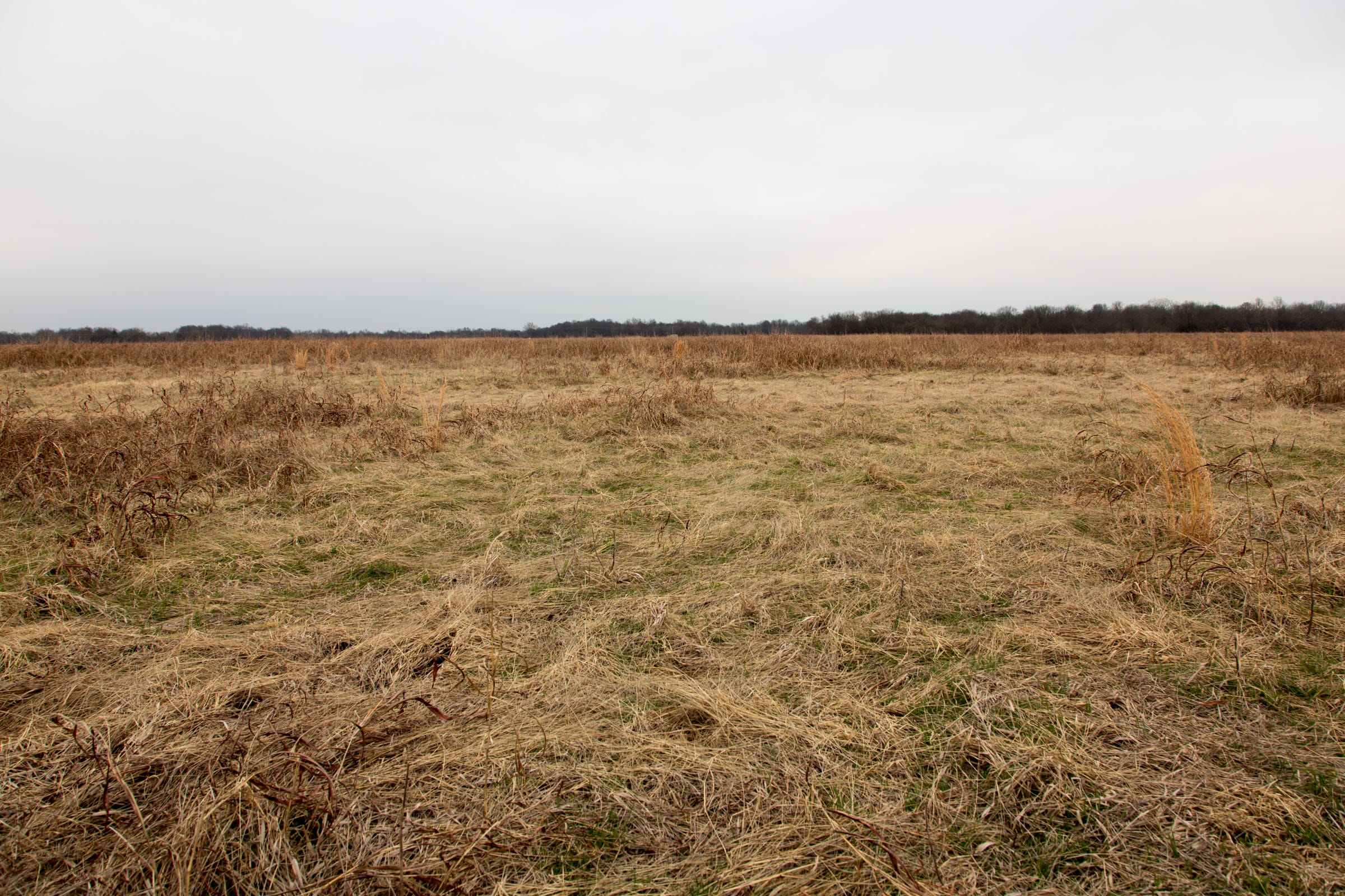 Canadian Plains Tract 44 photo 2