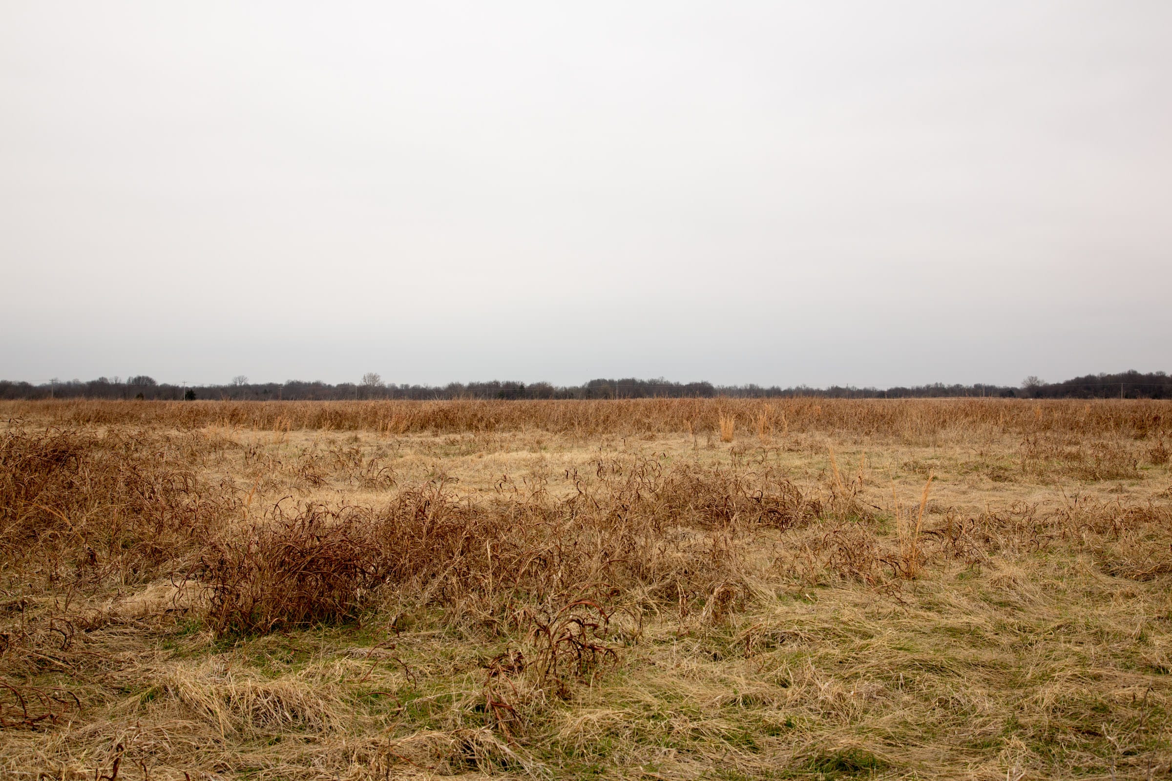 Canadian Plains Tract 44 photo 3