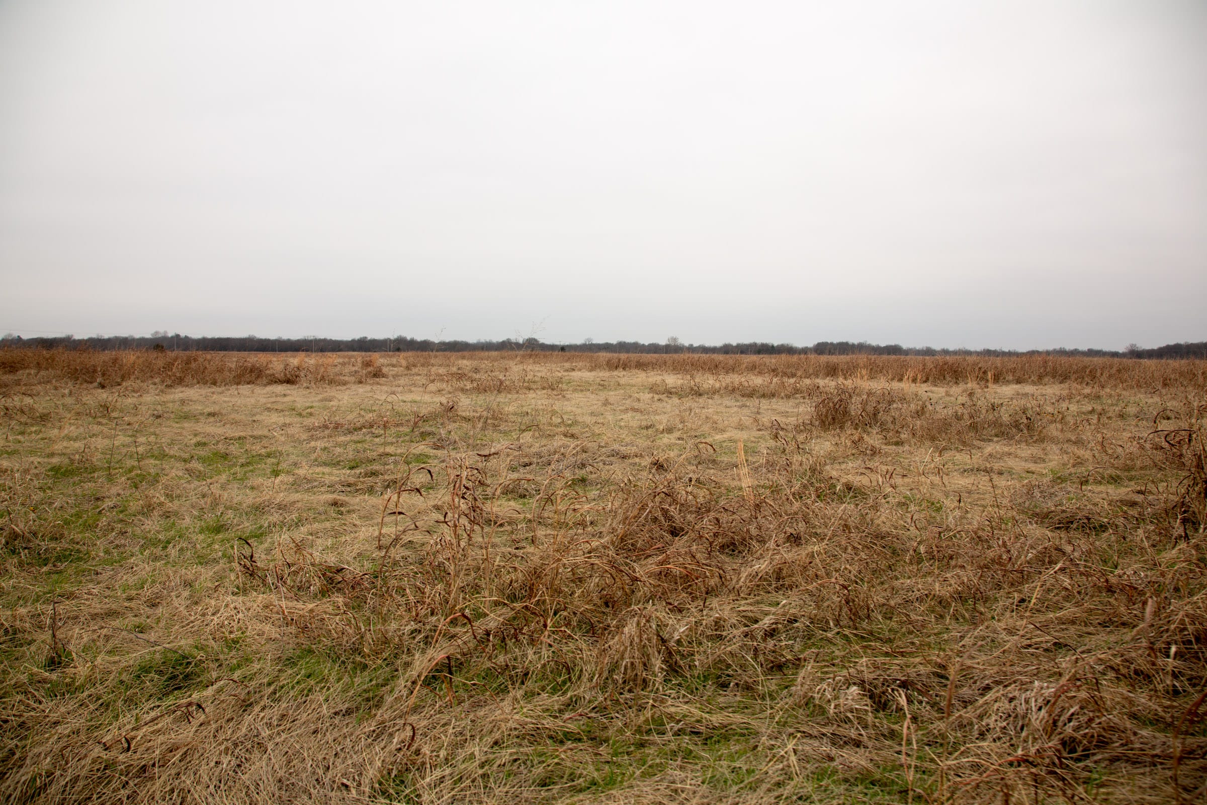 Canadian Plains Tract 44 photo 4
