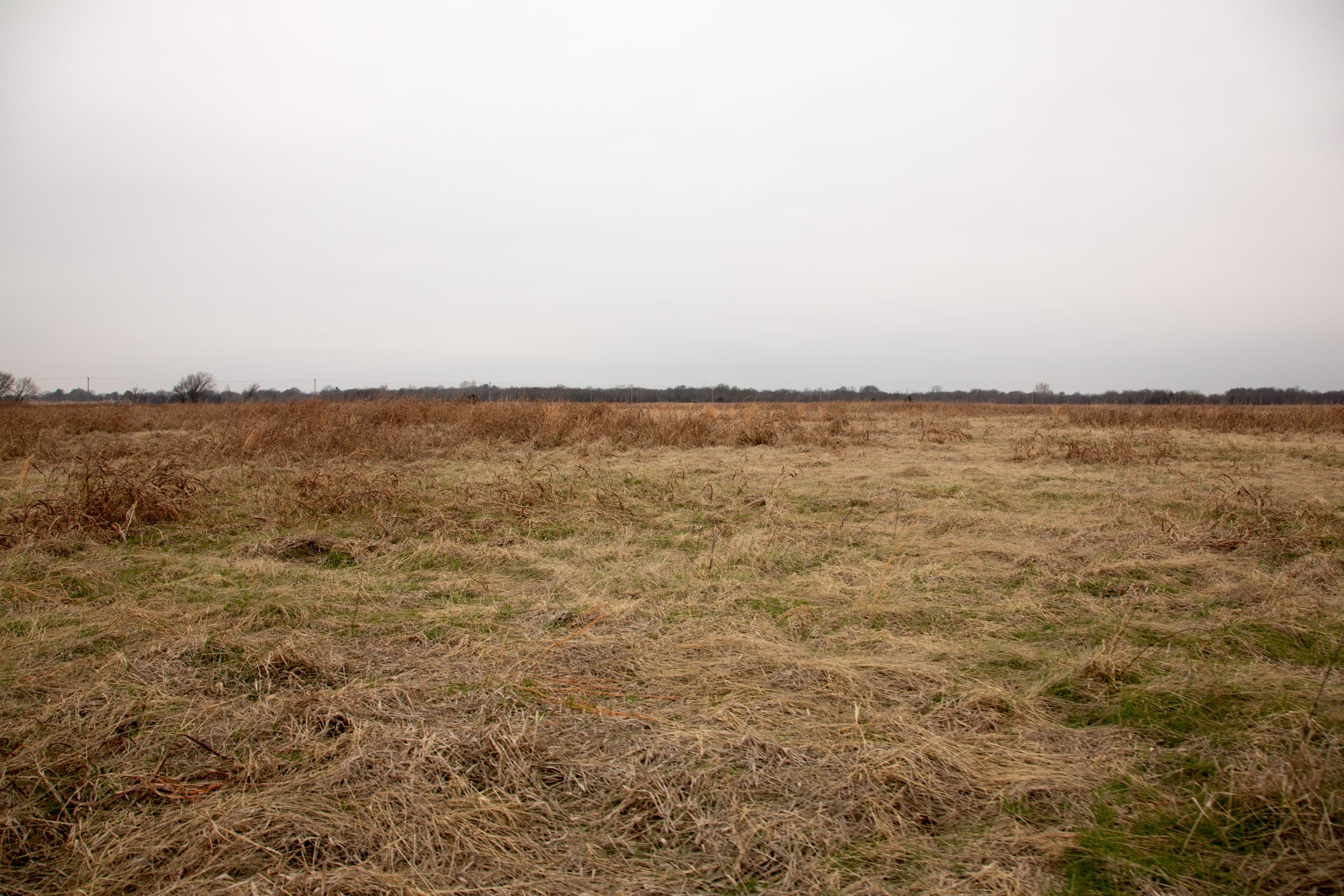 Canadian Plains Tract 44 photo 5
