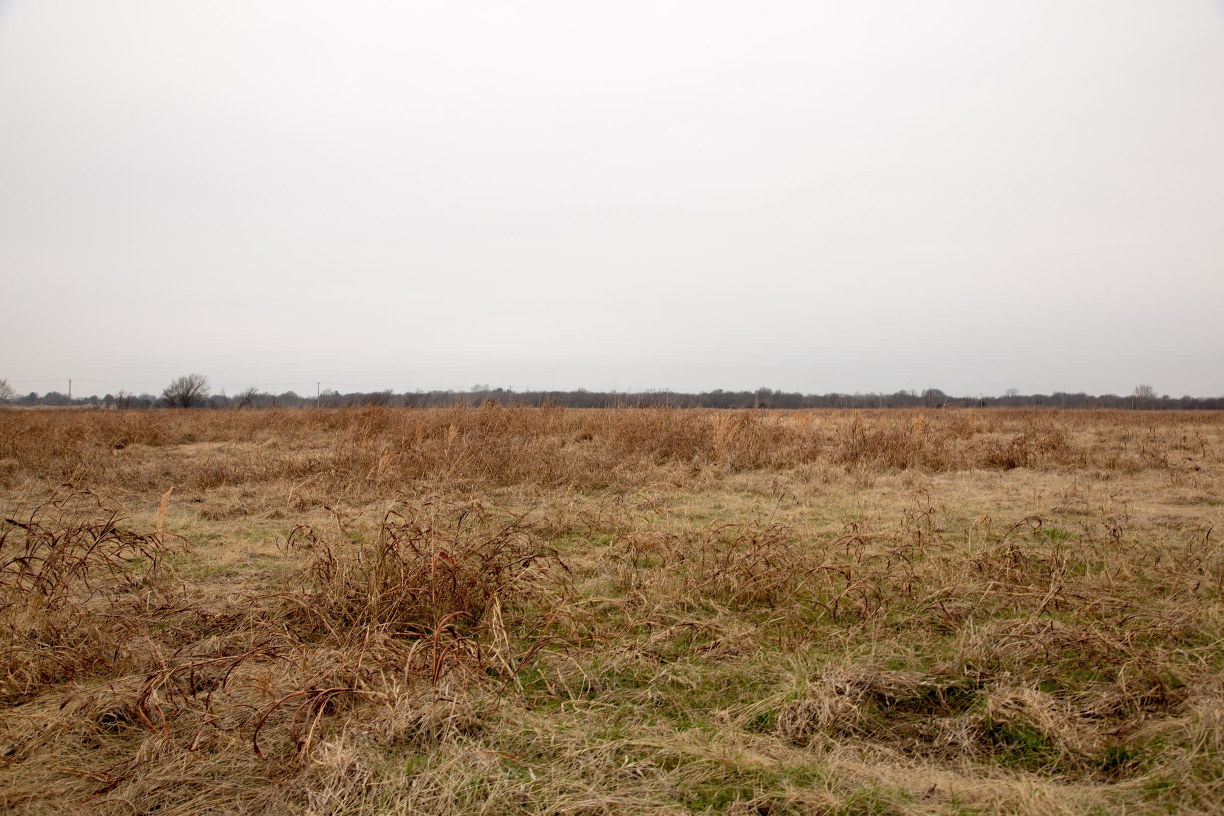 Canadian Plains Tract 44 photo 6