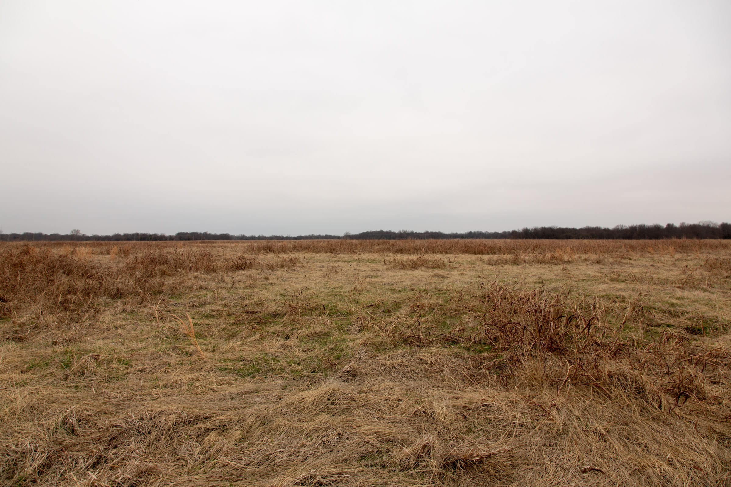 Canadian Plains Tract 44 photo 7