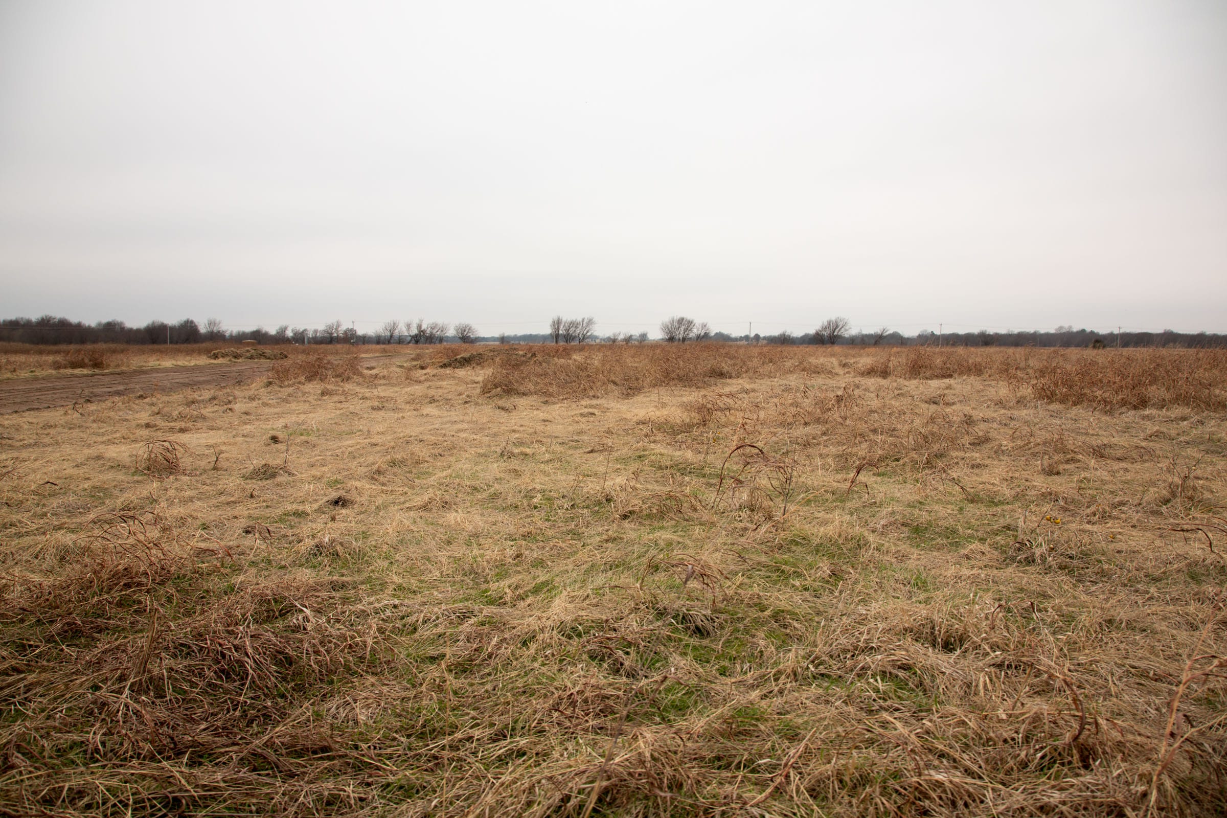 Canadian Plains Tract 44 photo 8