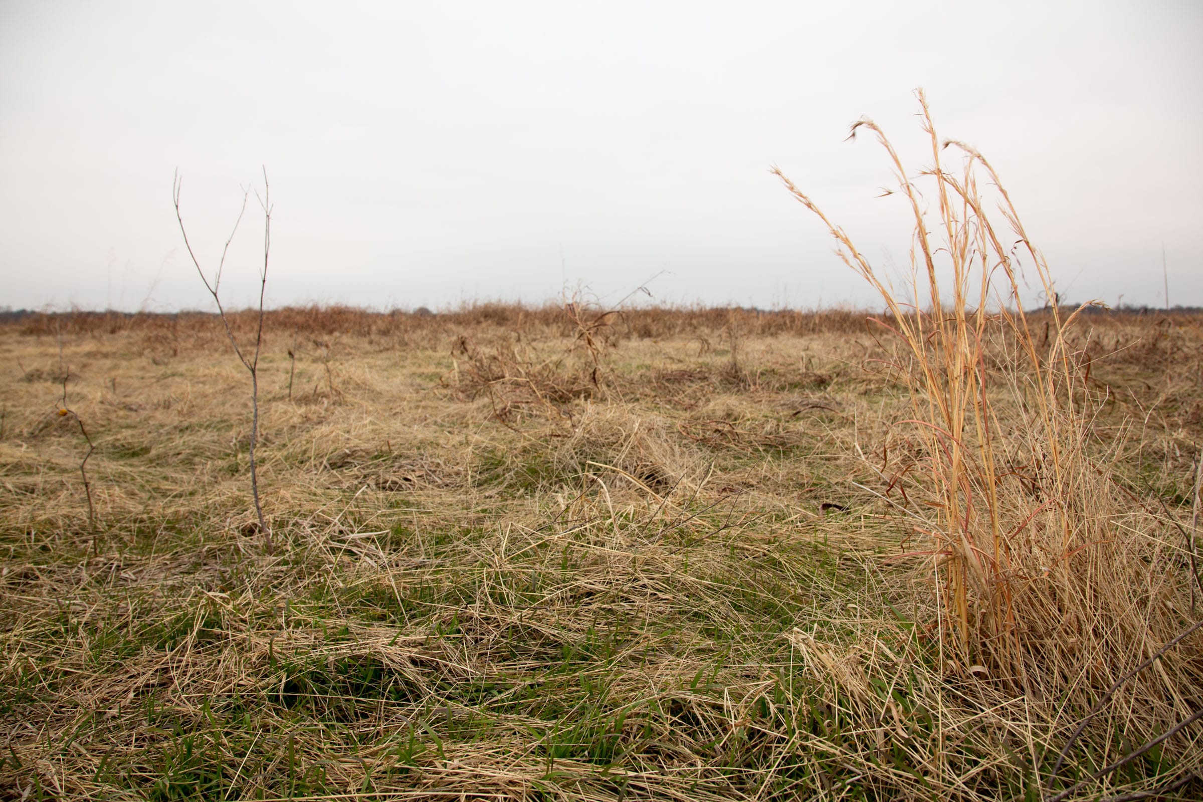 Canadian Plains Tract 44 photo 9
