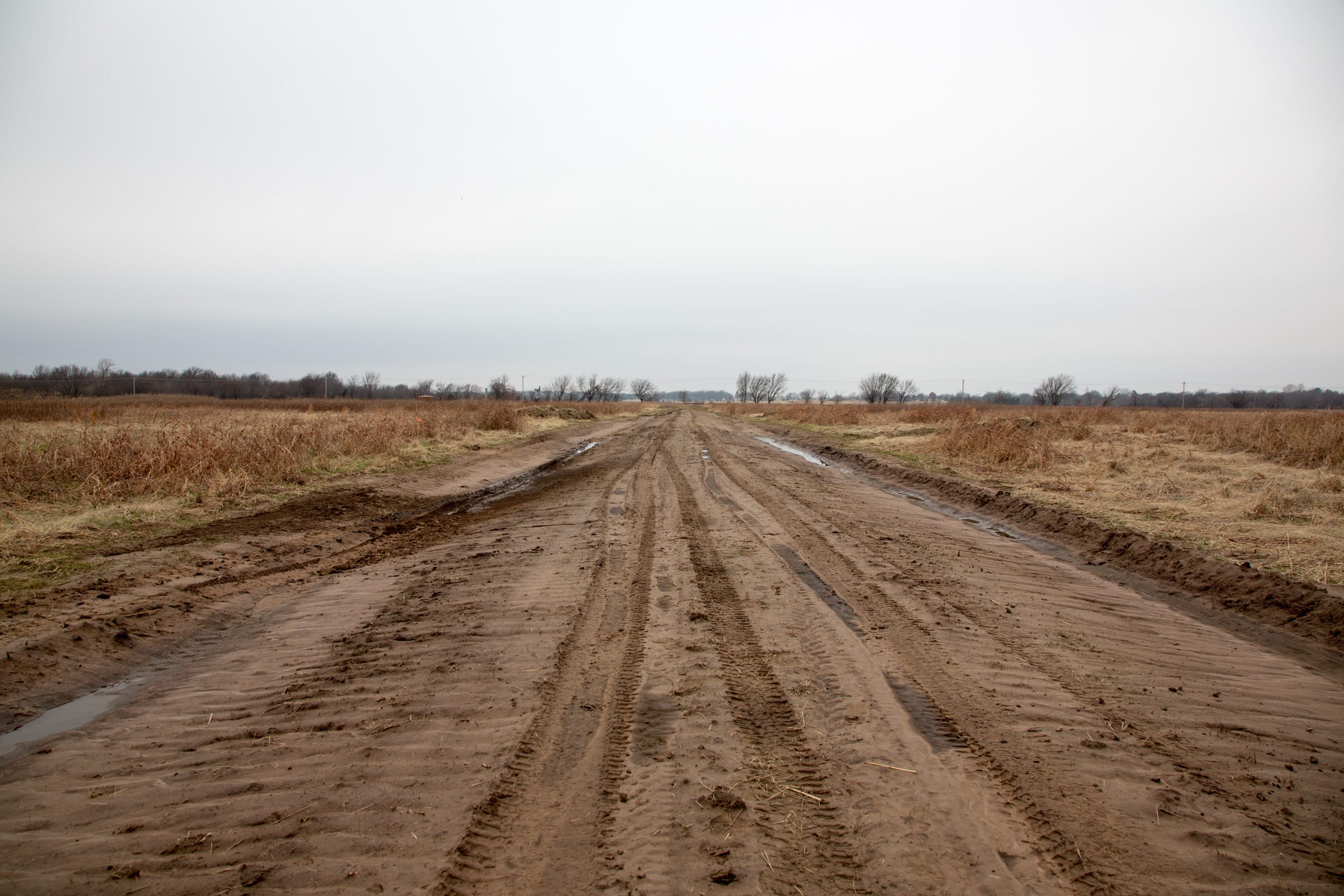 Canadian Plains Tract 44 photo 1