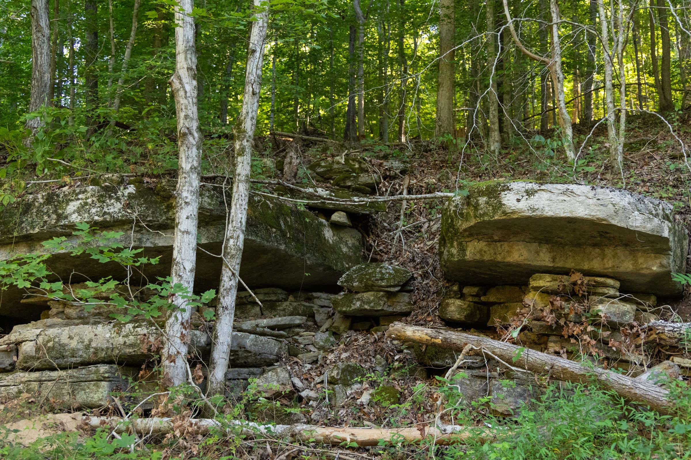 Big White Oak Tract 82 photo 8