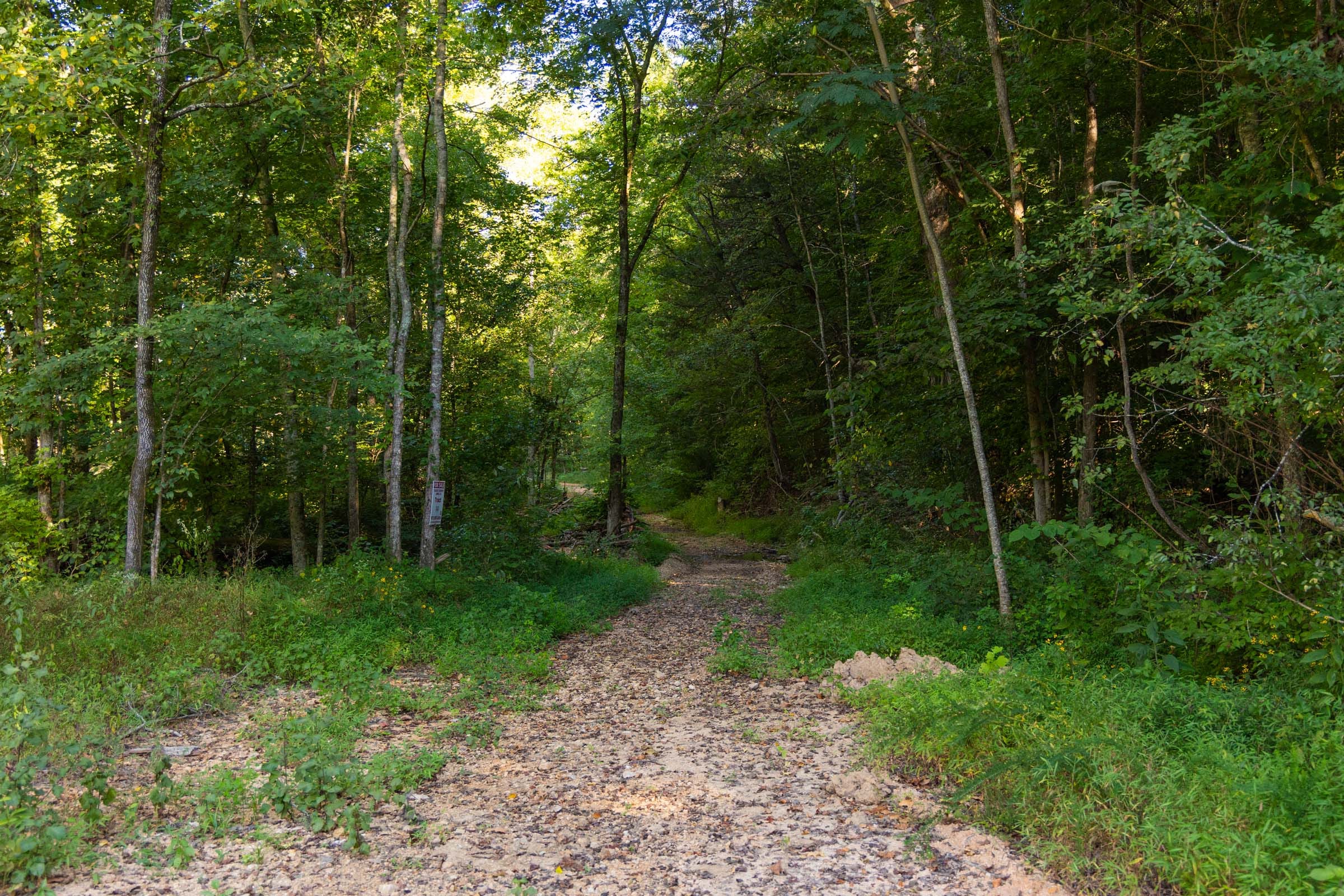 Big White Oak Tract 82 photo 3
