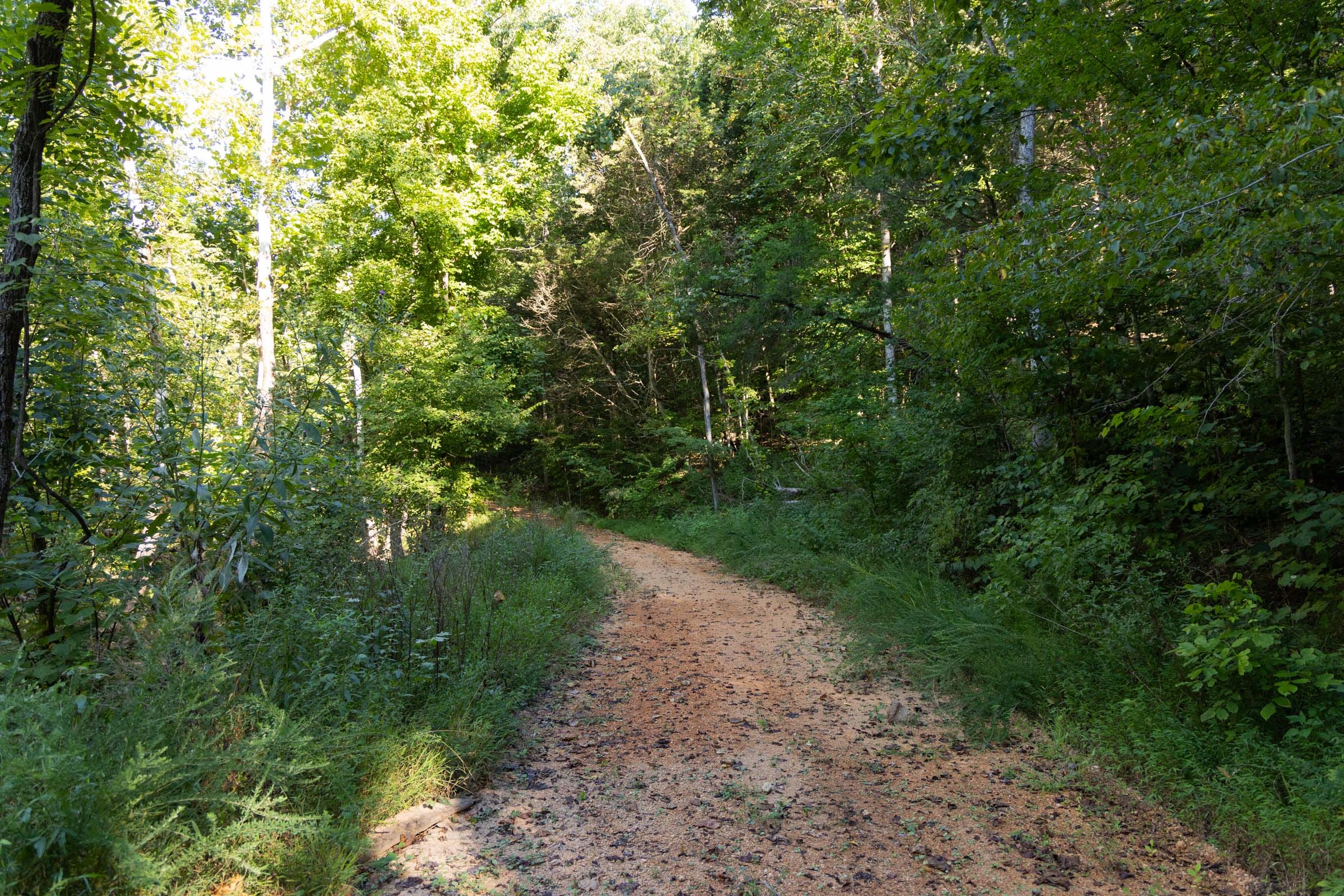 Big White Oak Tract 82 photo 1