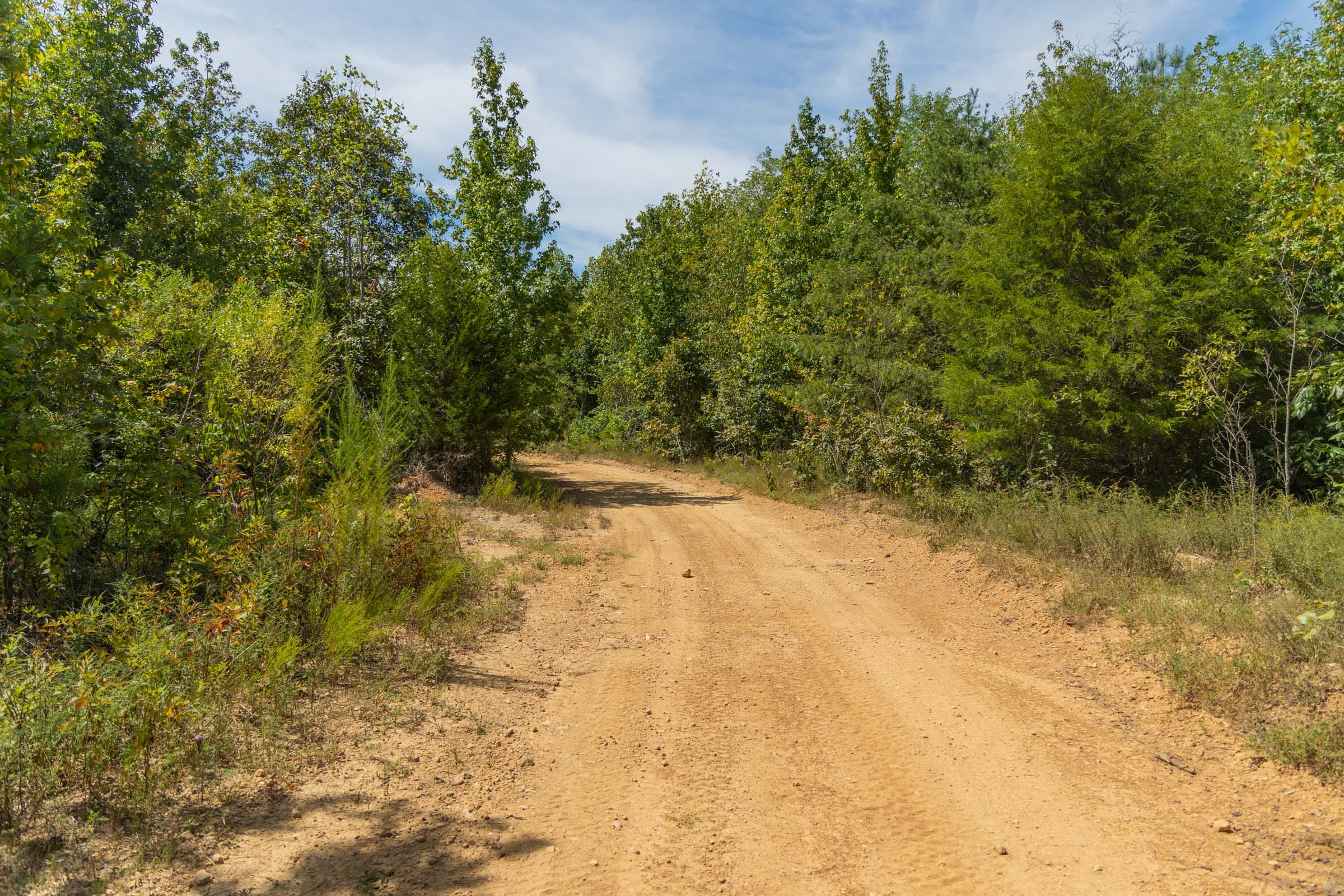 Big White Oak Tract 12 photo 5