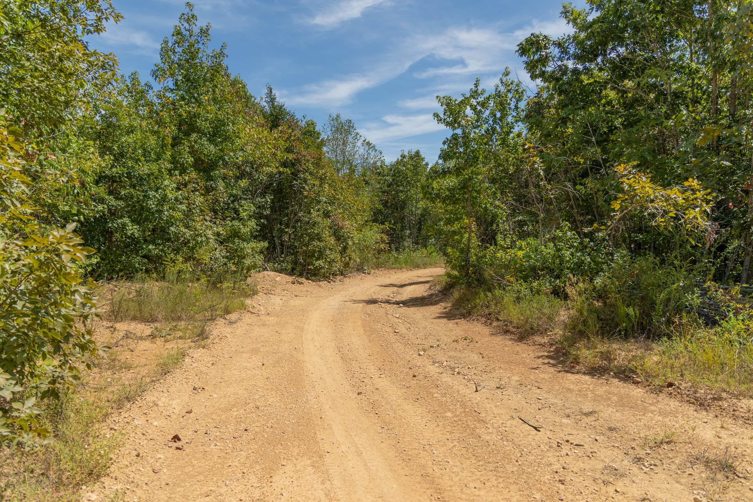 Big White Oak Tract 12 photo 9