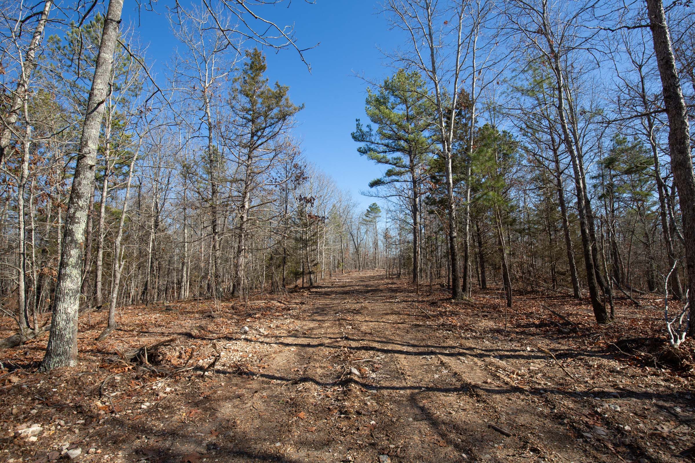 O’Connor Crossing Tract 13 photo 2