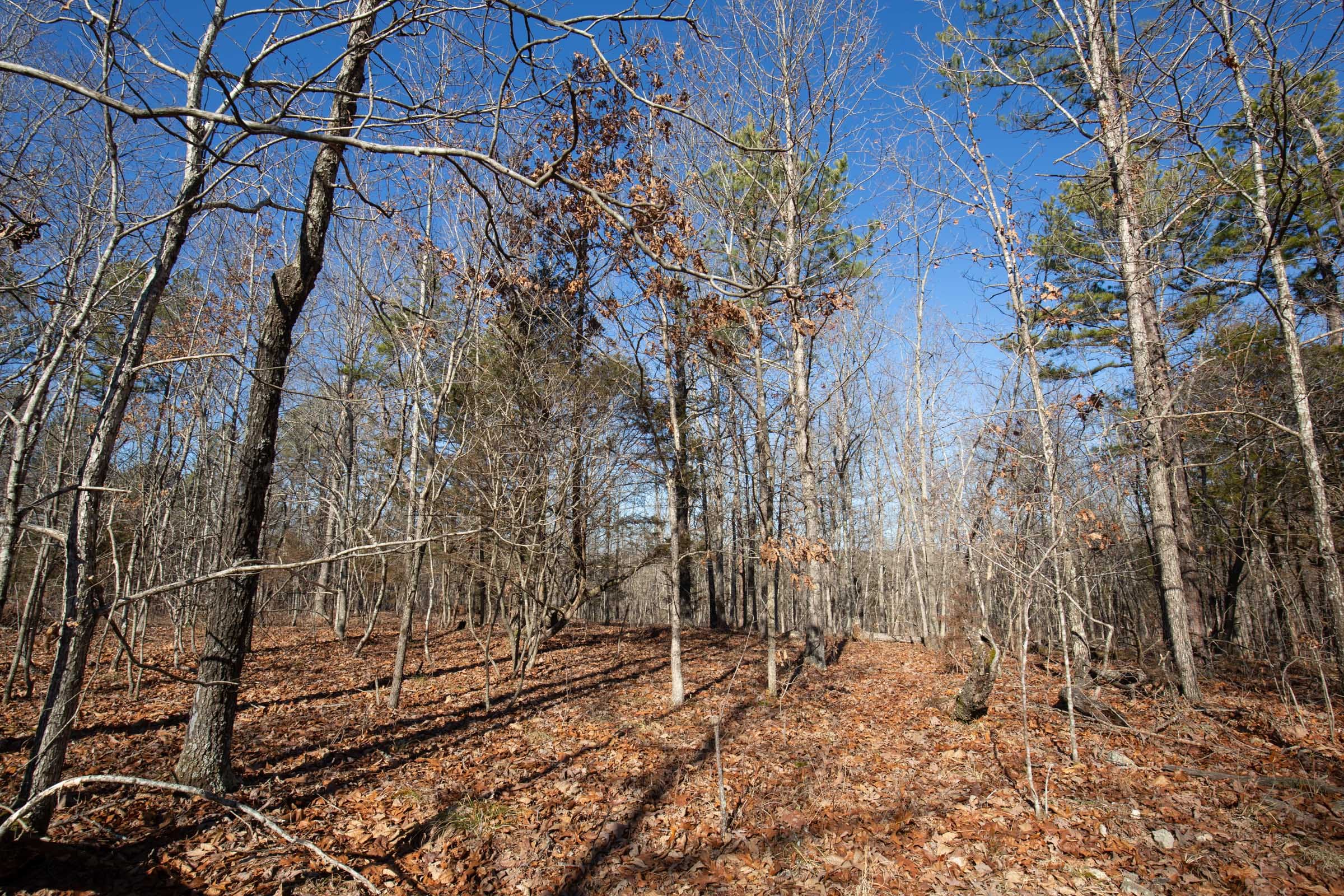 O’Connor Crossing Tract 13 photo 6
