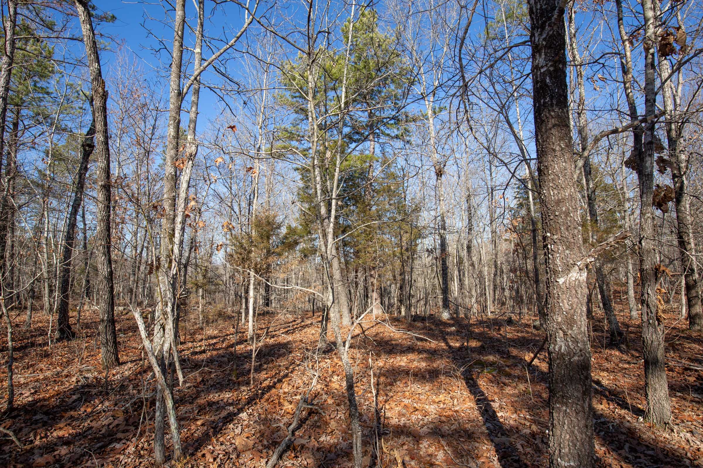 O’Connor Crossing Tract 13 photo 8