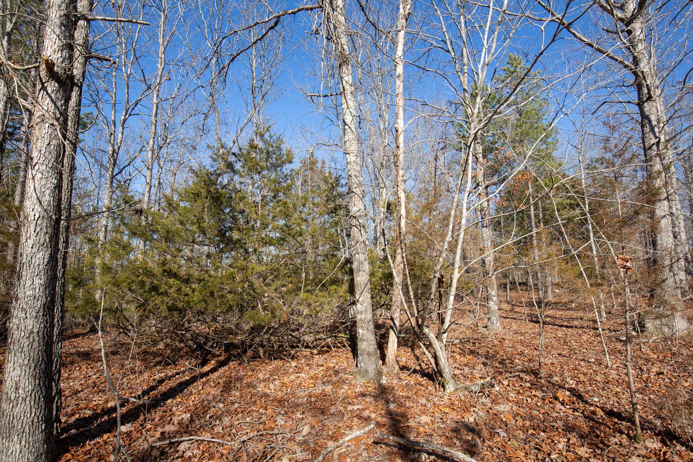 O’Connor Crossing Tract 13 photo 12