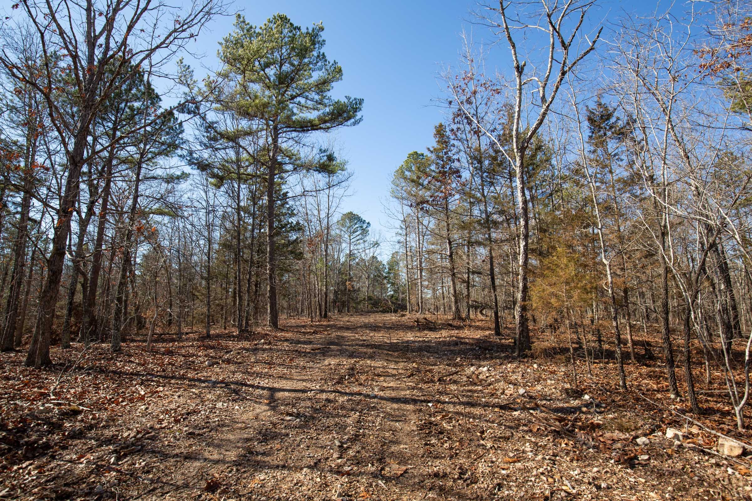 O’Connor Crossing Tract 13 photo 9