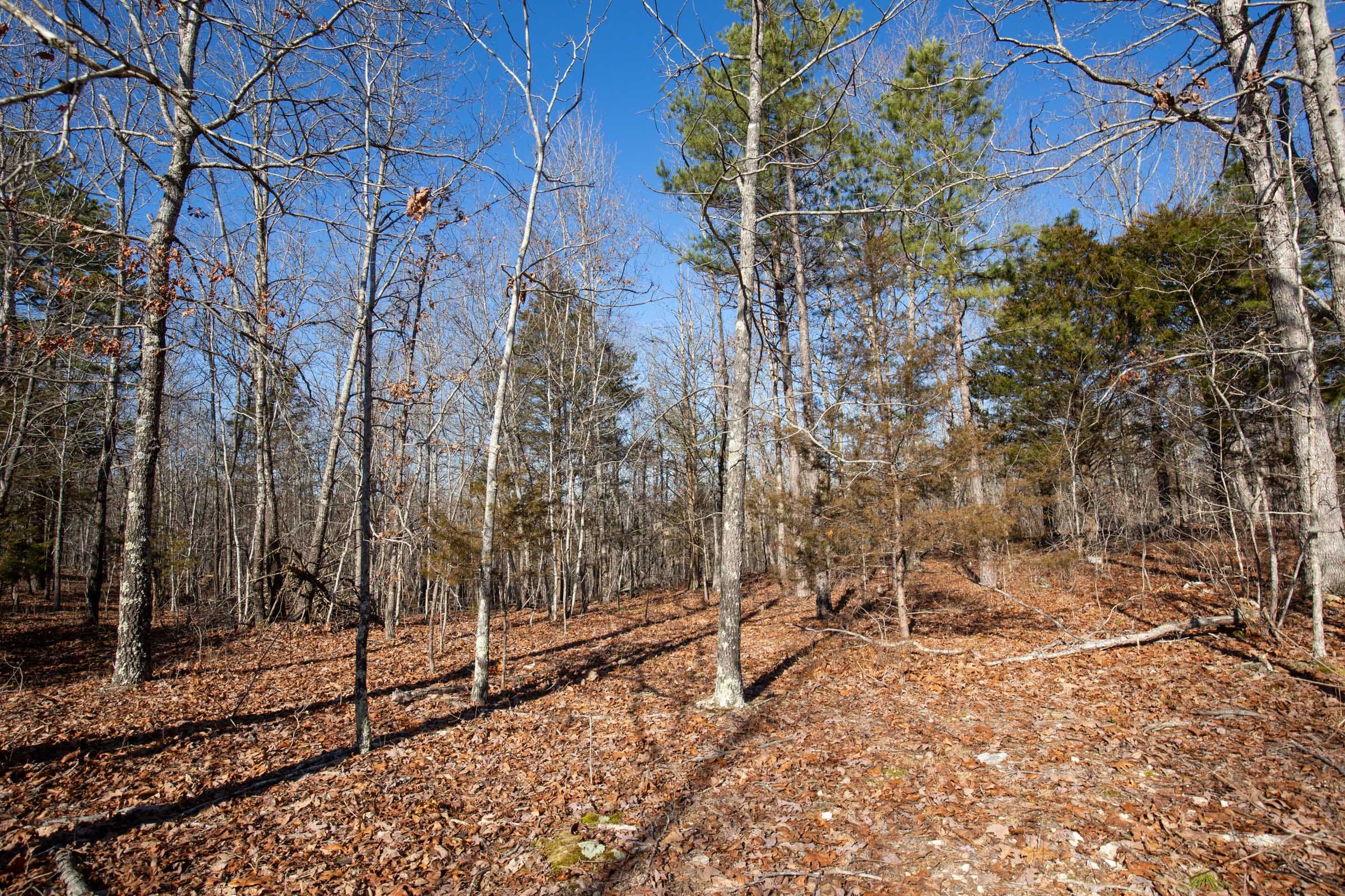 O’Connor Crossing Tract 13 photo 3