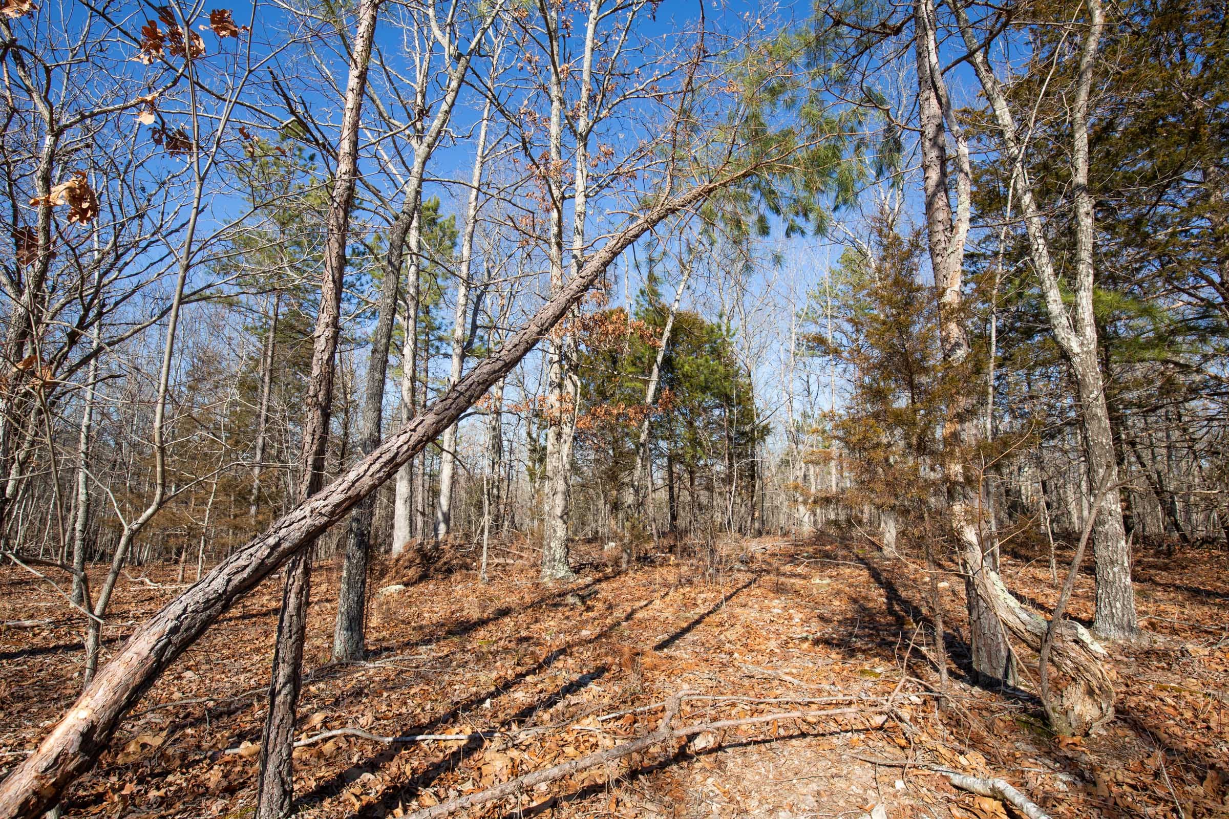 O’Connor Crossing Tract 13 photo 11