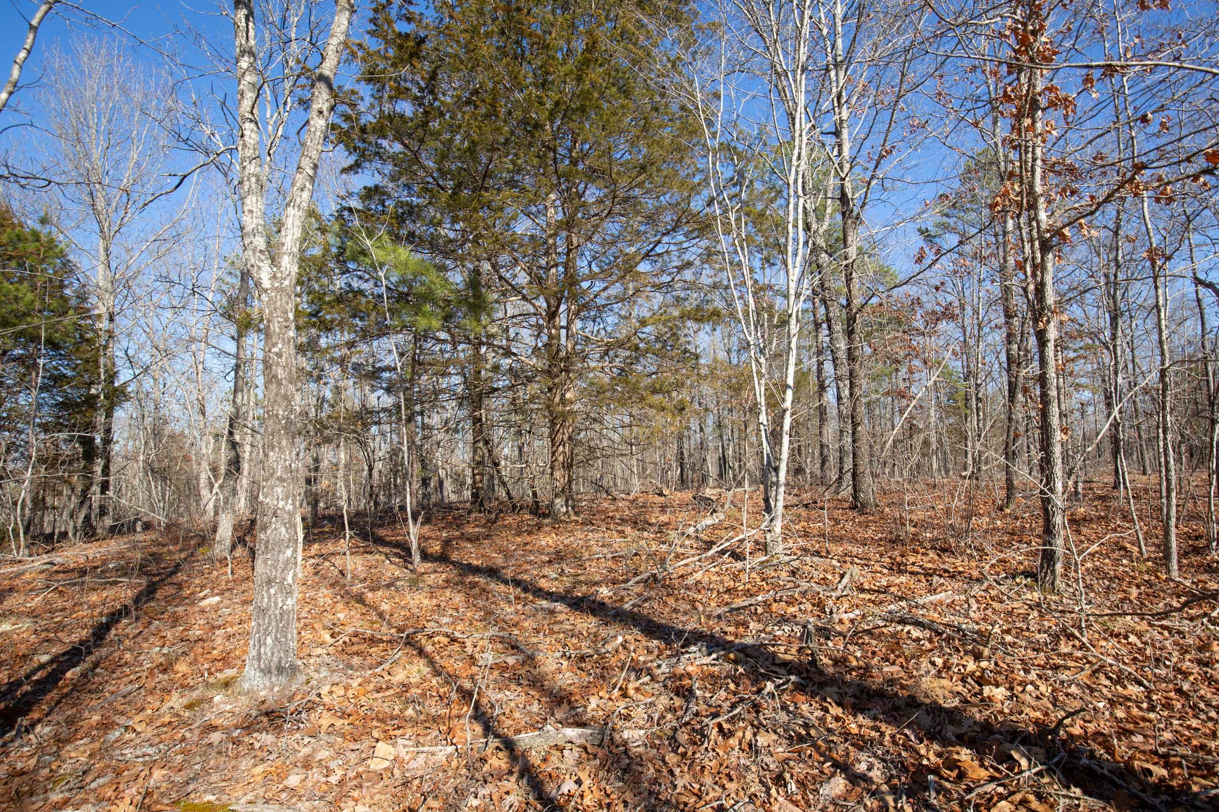 O’Connor Crossing Tract 13 photo 10