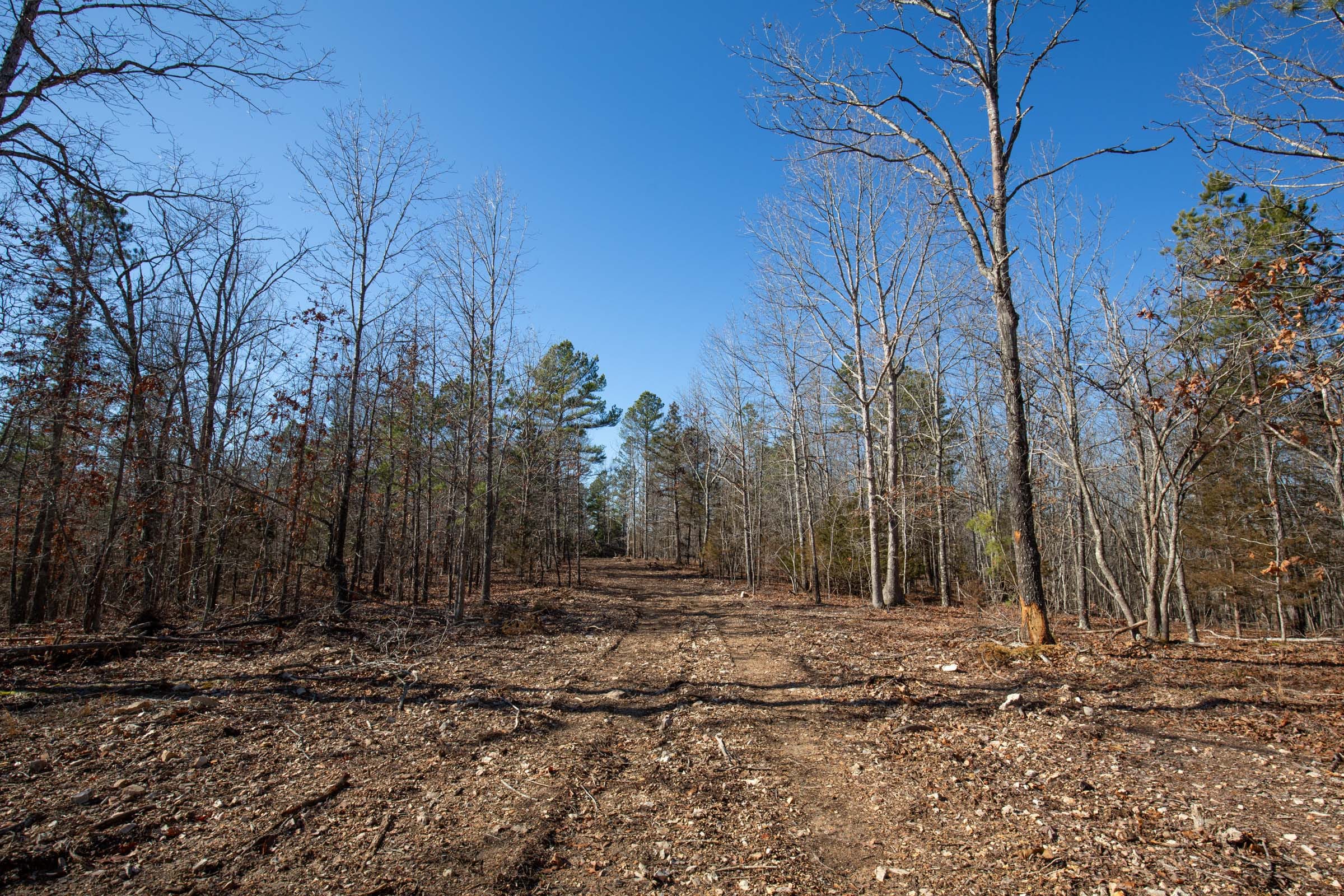 O’Connor Crossing Tract 13 photo 17