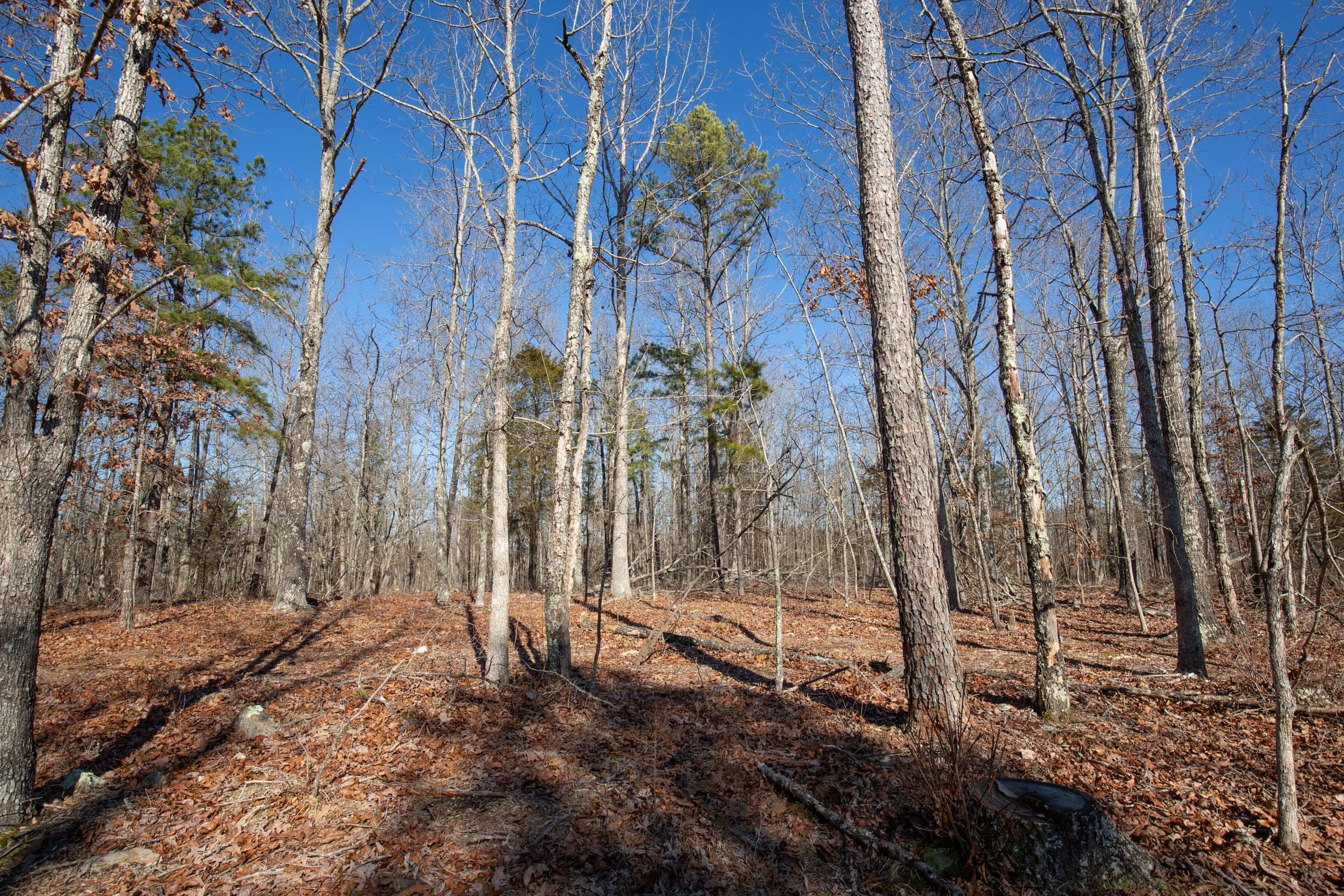 O’Connor Crossing Tract 13 photo 4