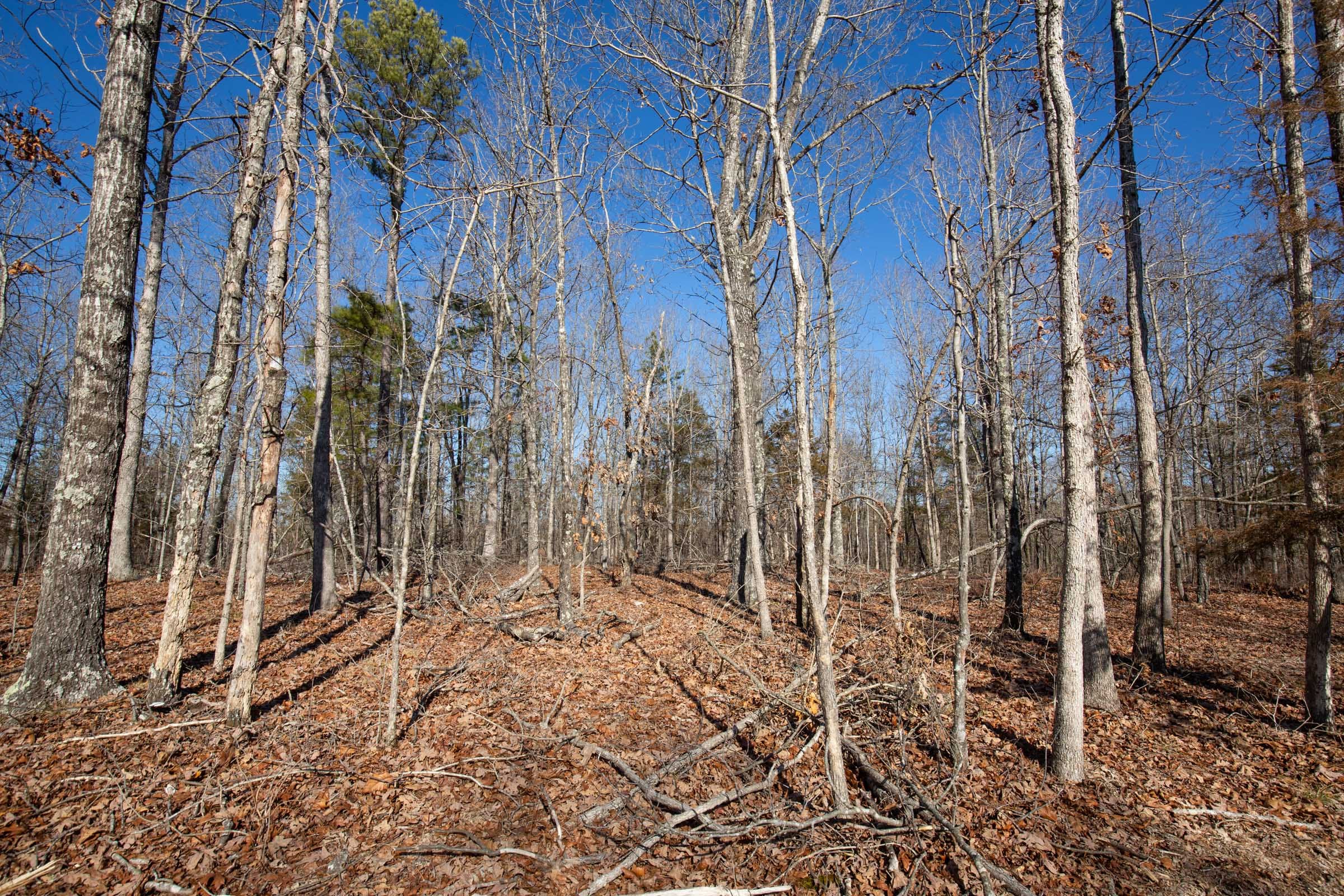 O’Connor Crossing Tract 13 photo 13