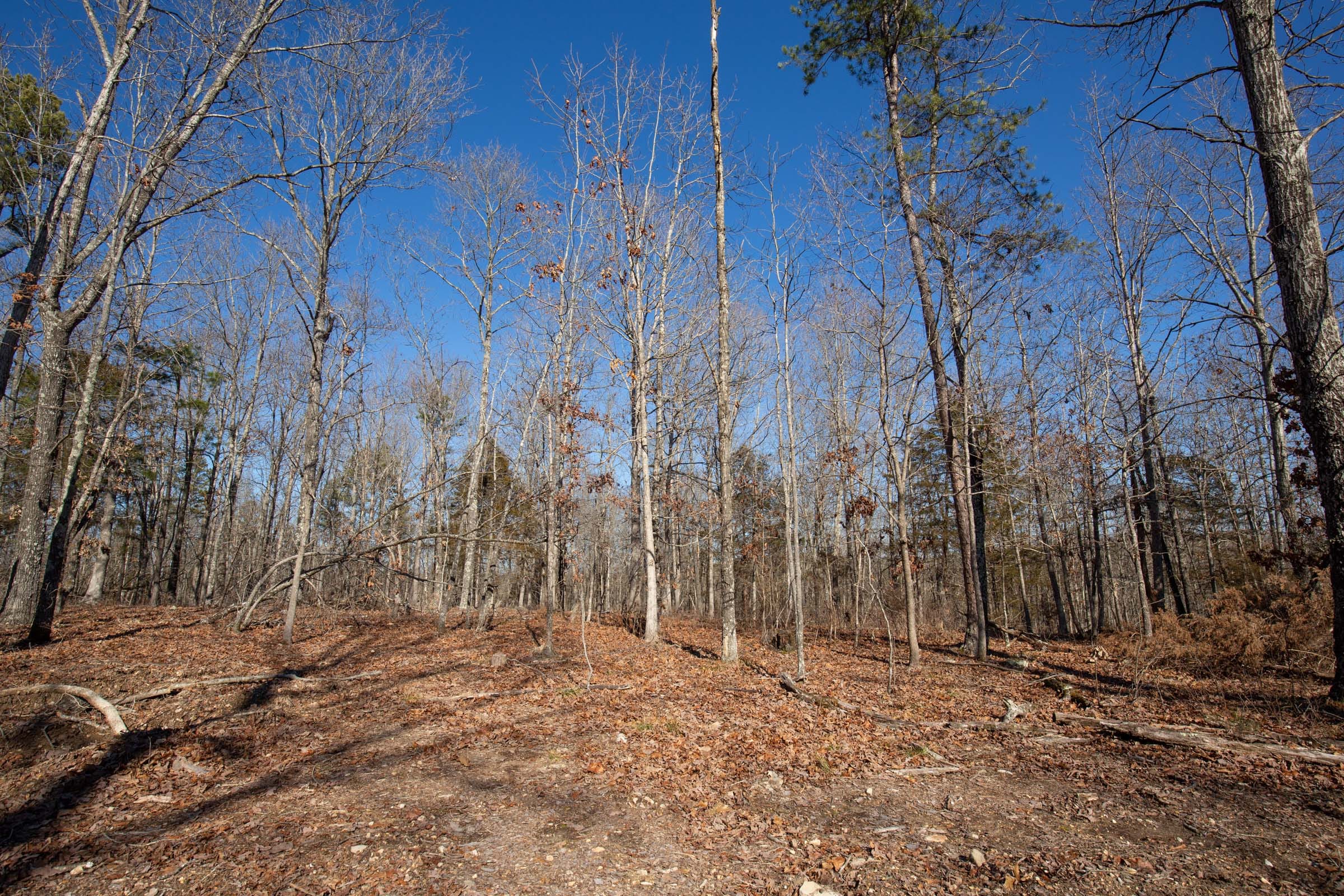 O’Connor Crossing Tract 13 photo 5