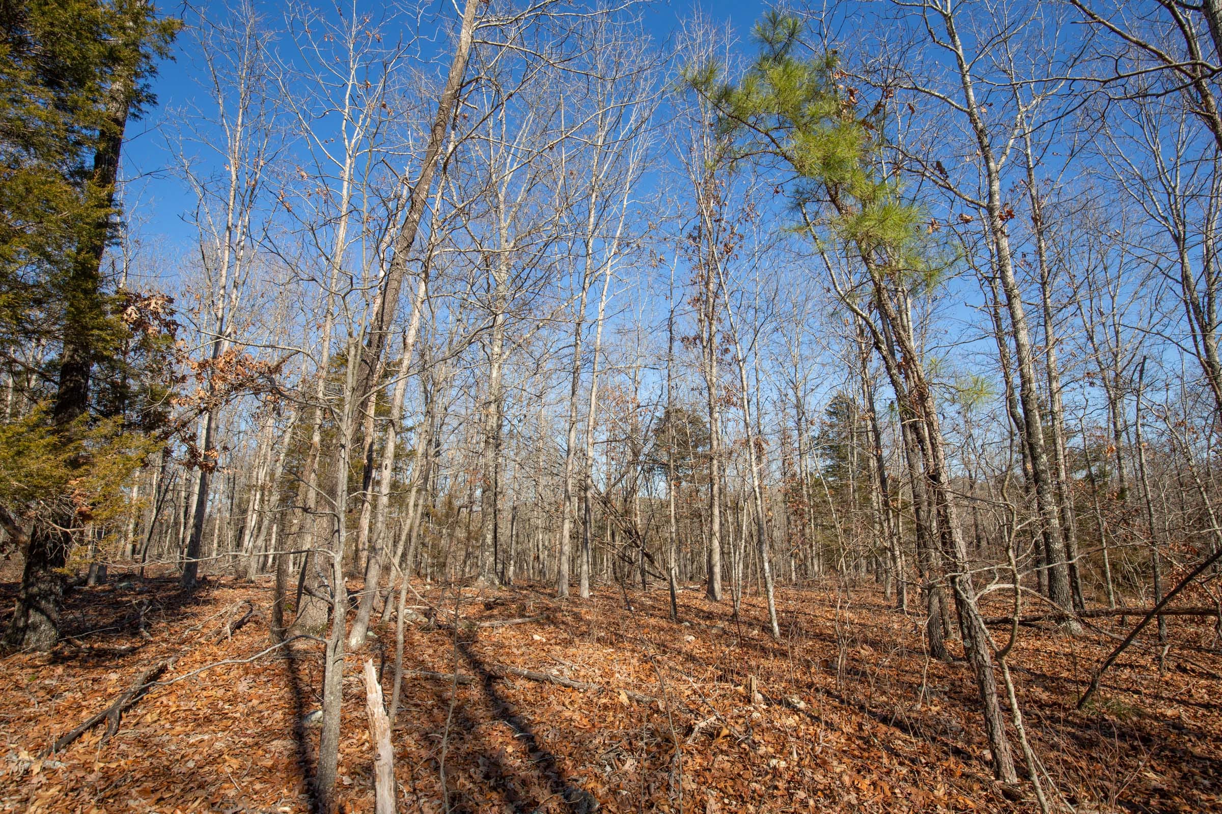 O’Connor Crossing Tract 13 photo 15