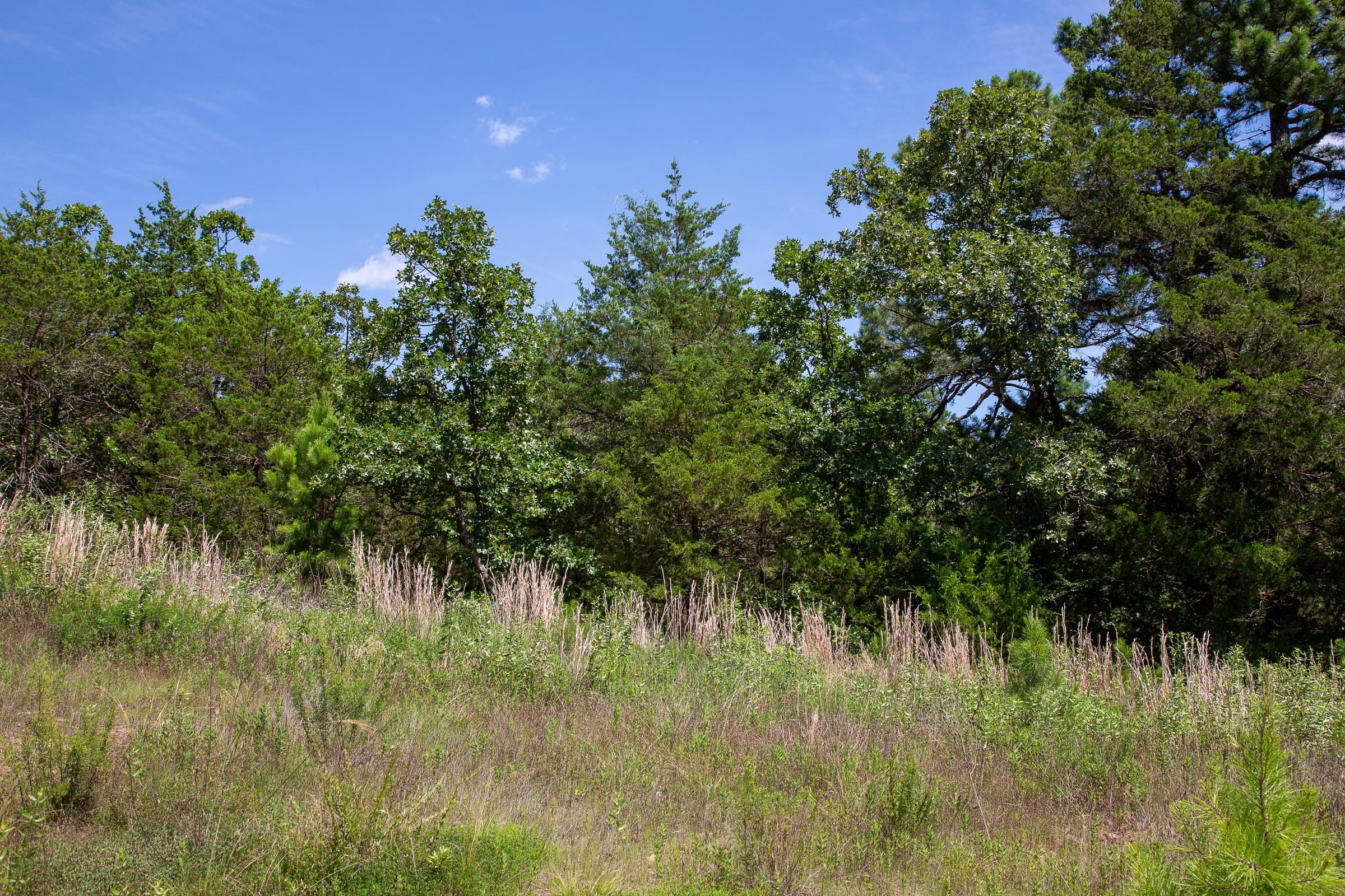 Tyler Stone Ranch Tract 39 photo 5