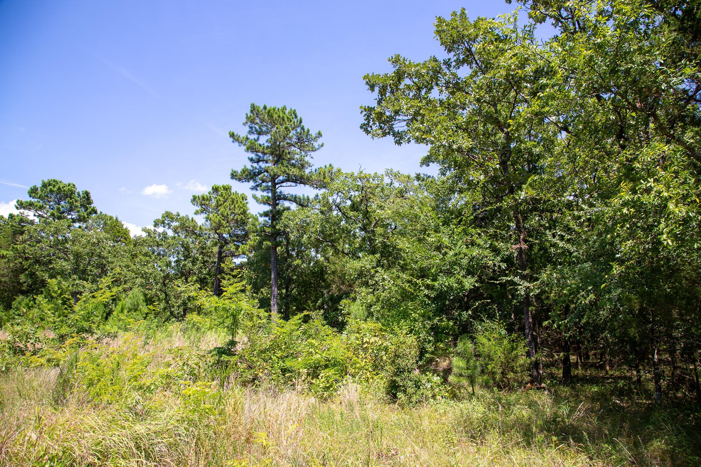 Tyler Stone Ranch Tract 39 photo 7