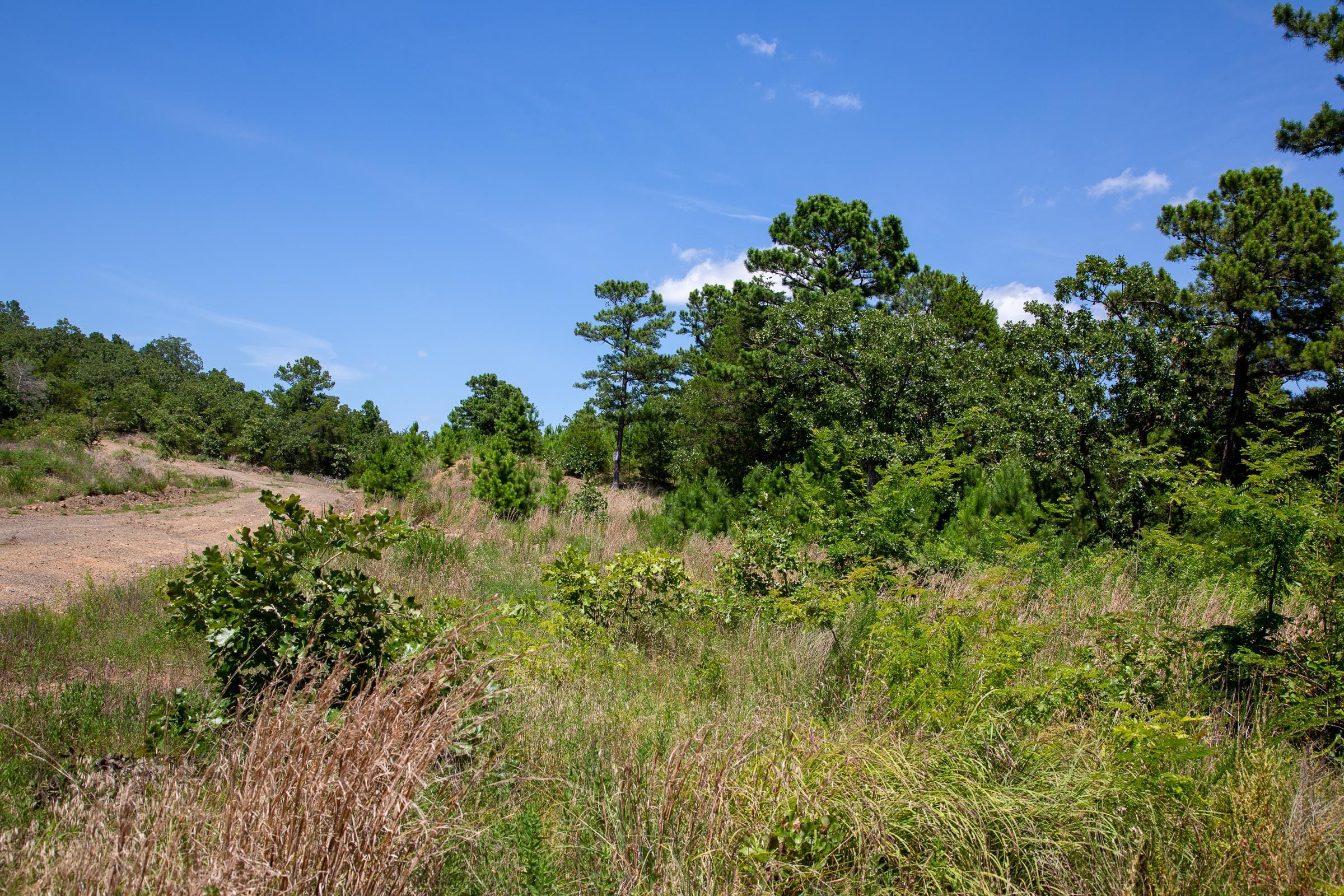 Tyler Stone Ranch Tract 39 photo 9