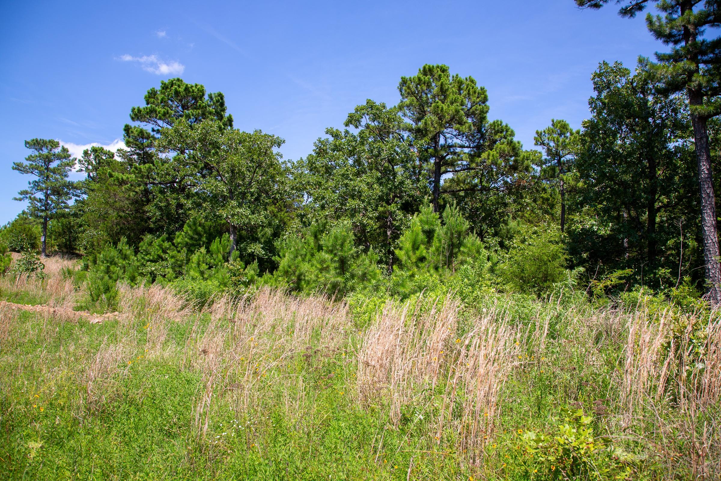 Tyler Stone Ranch Tract 39 photo 12