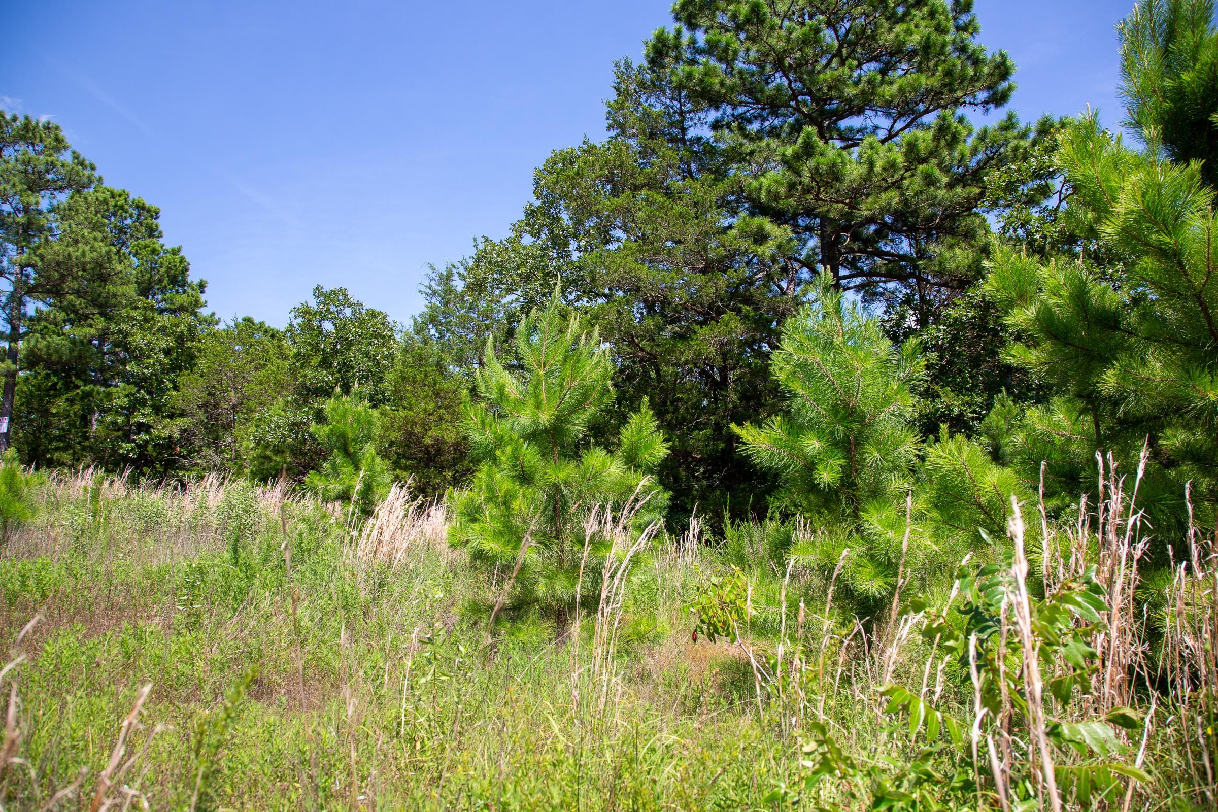 Tyler Stone Ranch Tract 39 photo 2