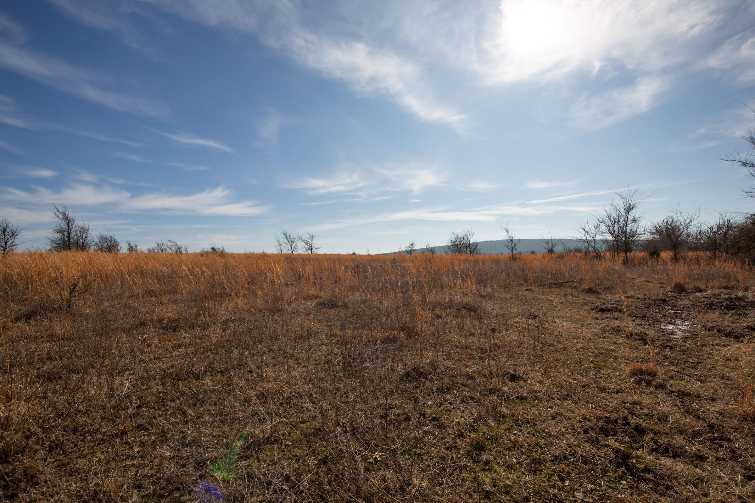 Painted Horse Tract 25 photo 4
