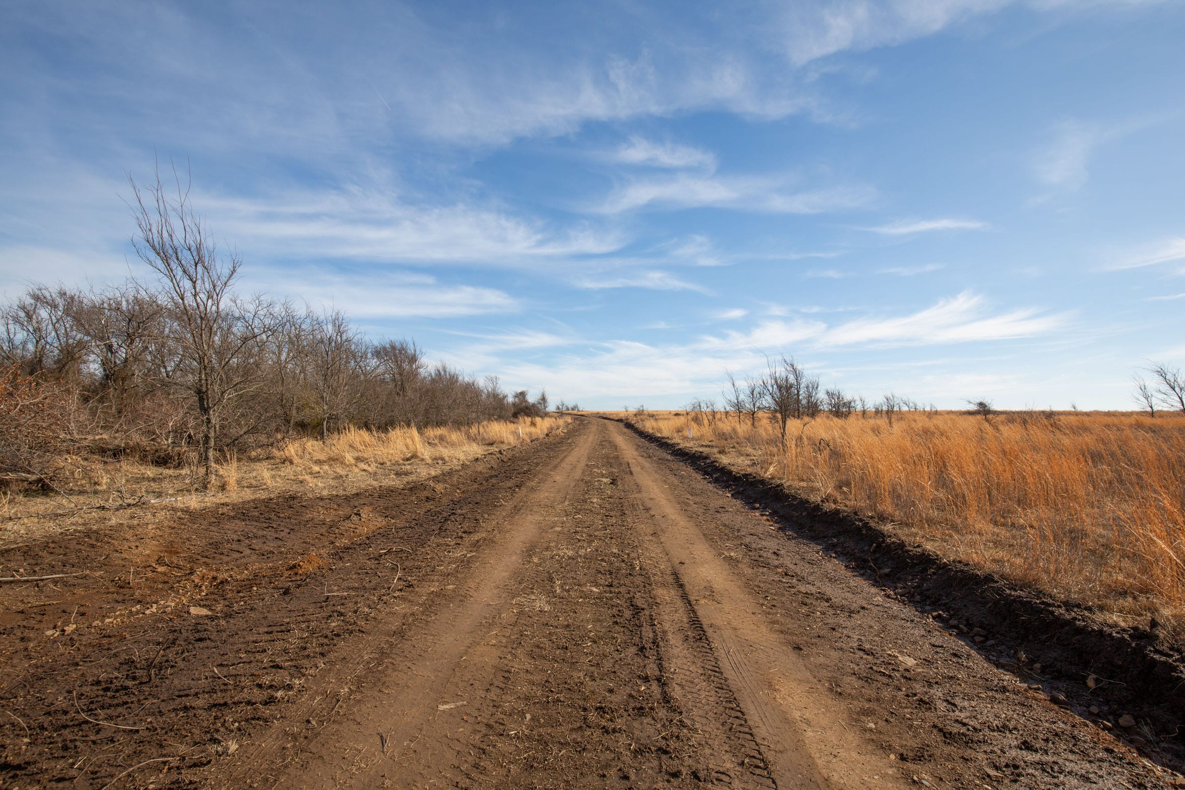 Painted Horse Tract 25 photo 1