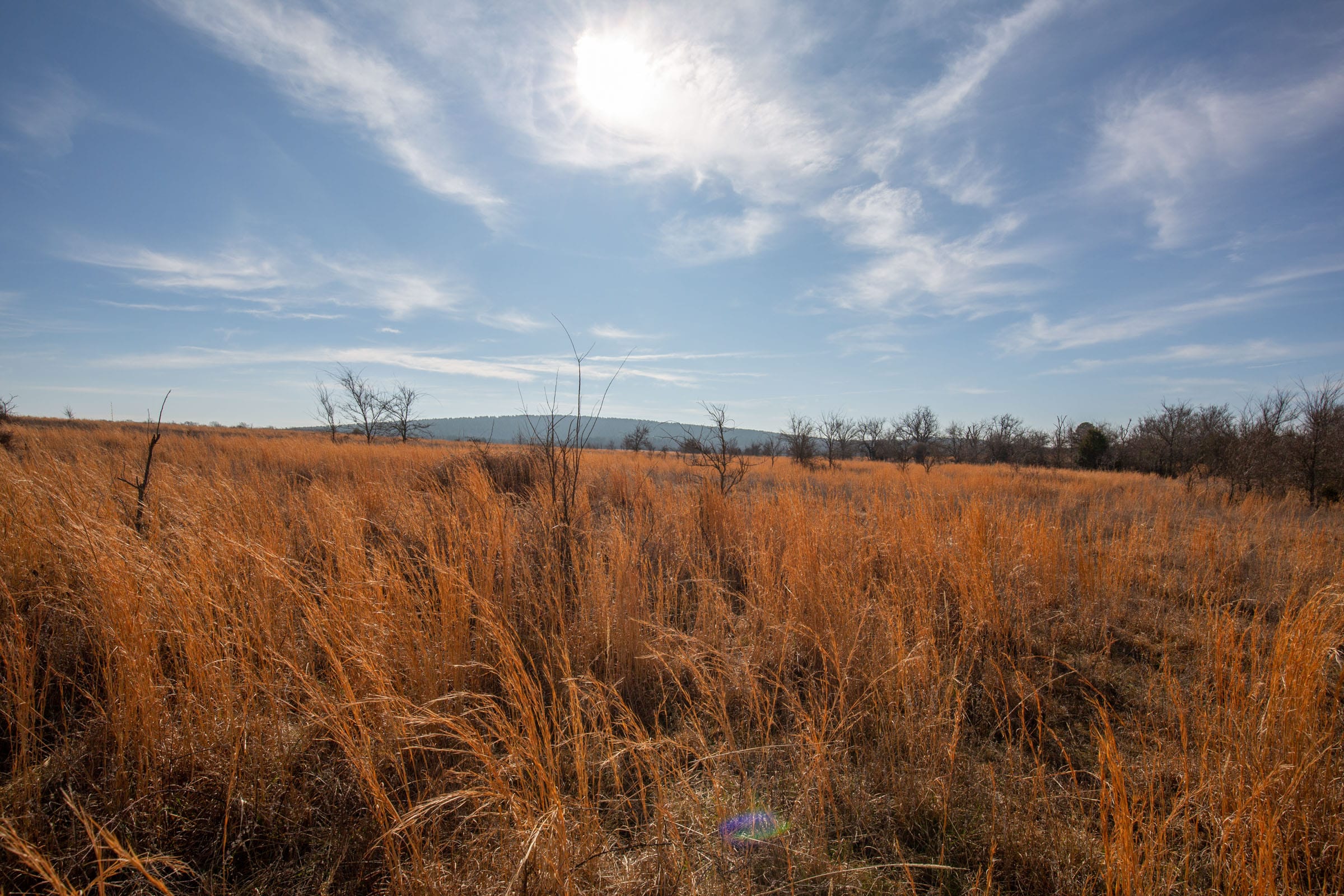 Painted Horse Tract 25 photo 6