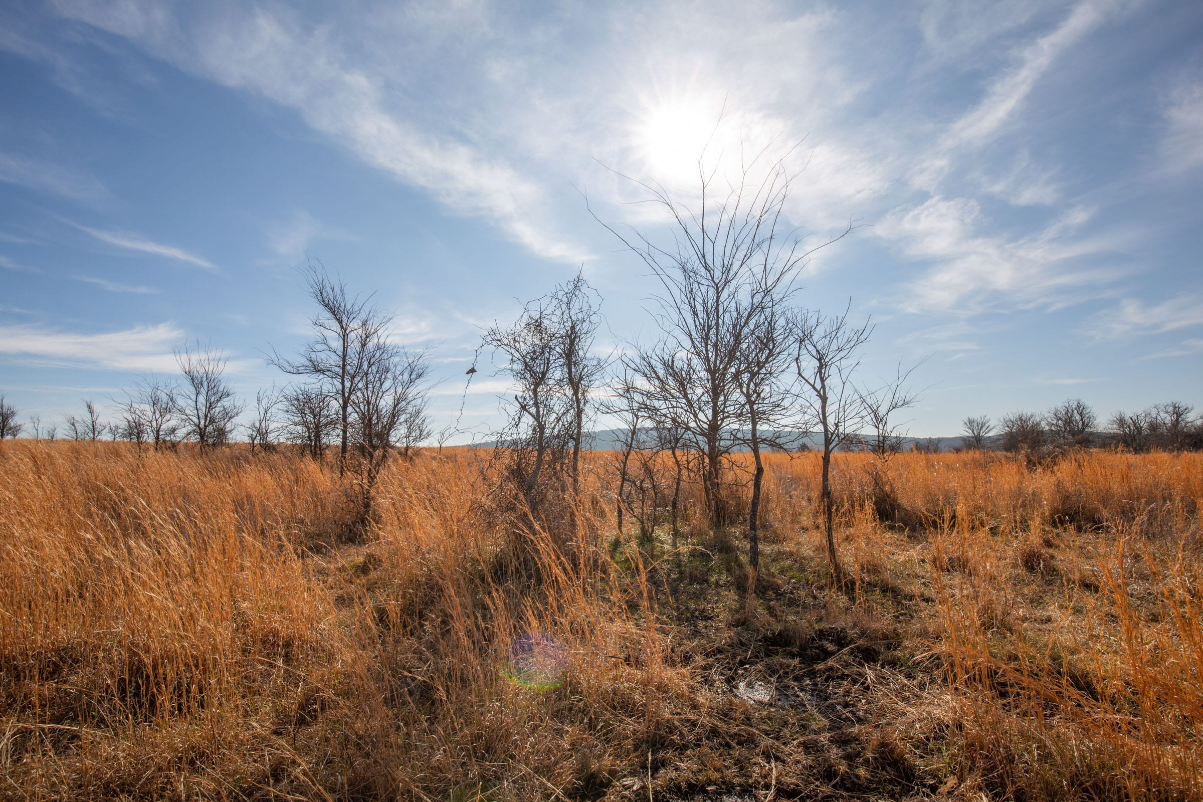 Painted Horse Tract 25 photo 7