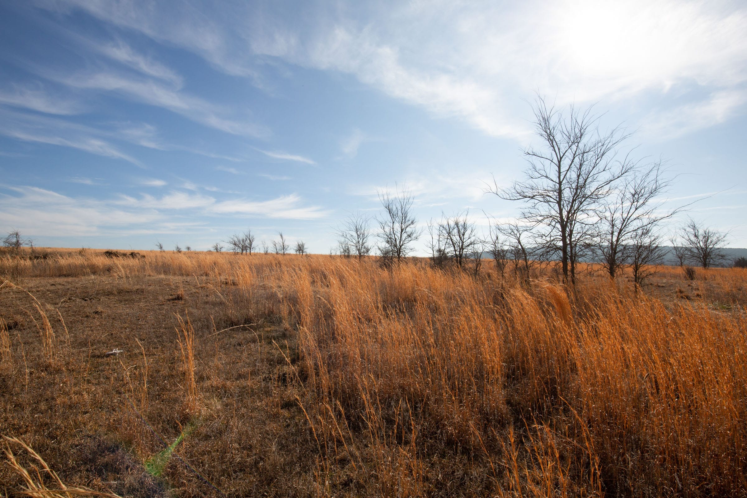 Painted Horse Tract 25 photo 9