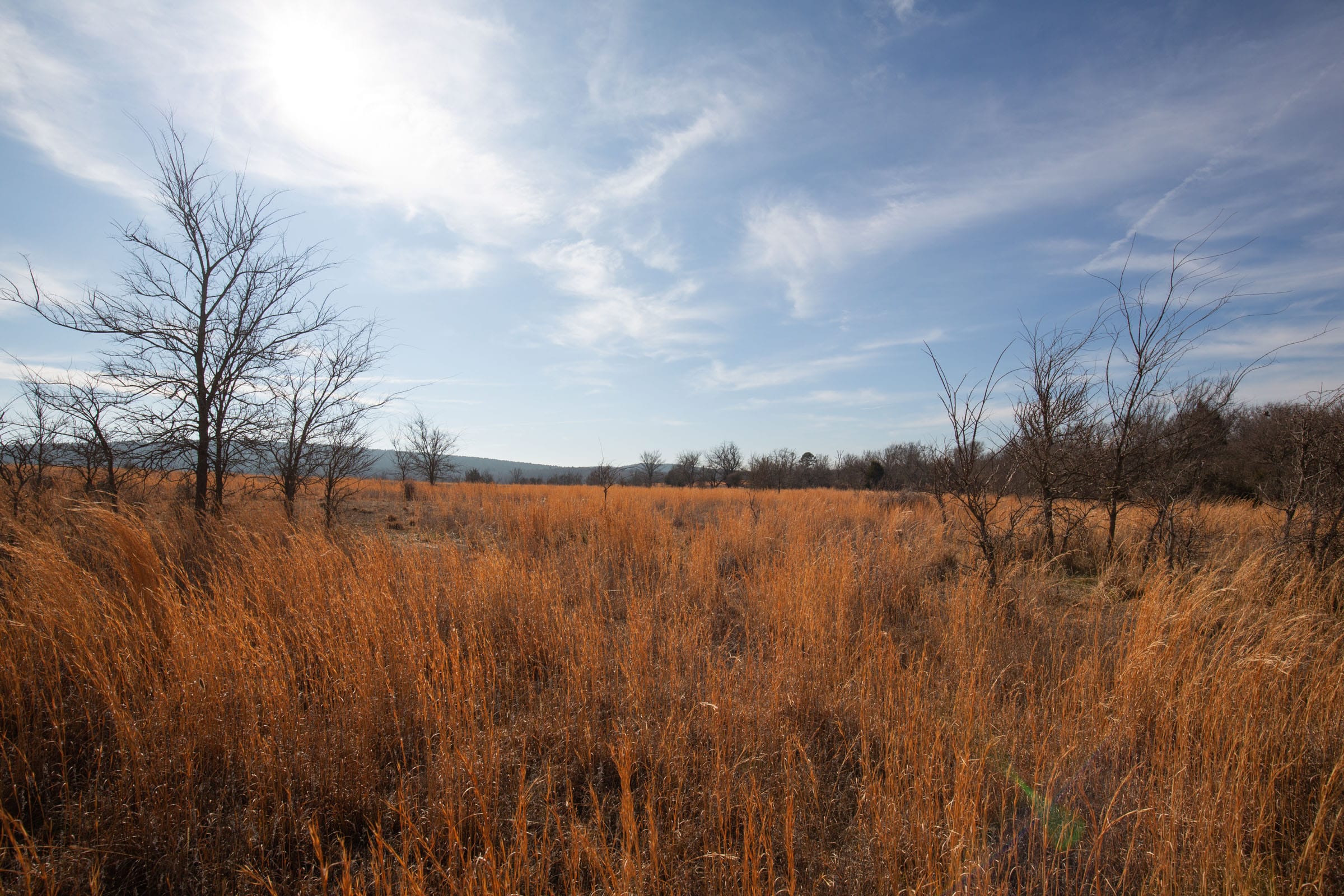 Painted Horse Tract 25 photo 13